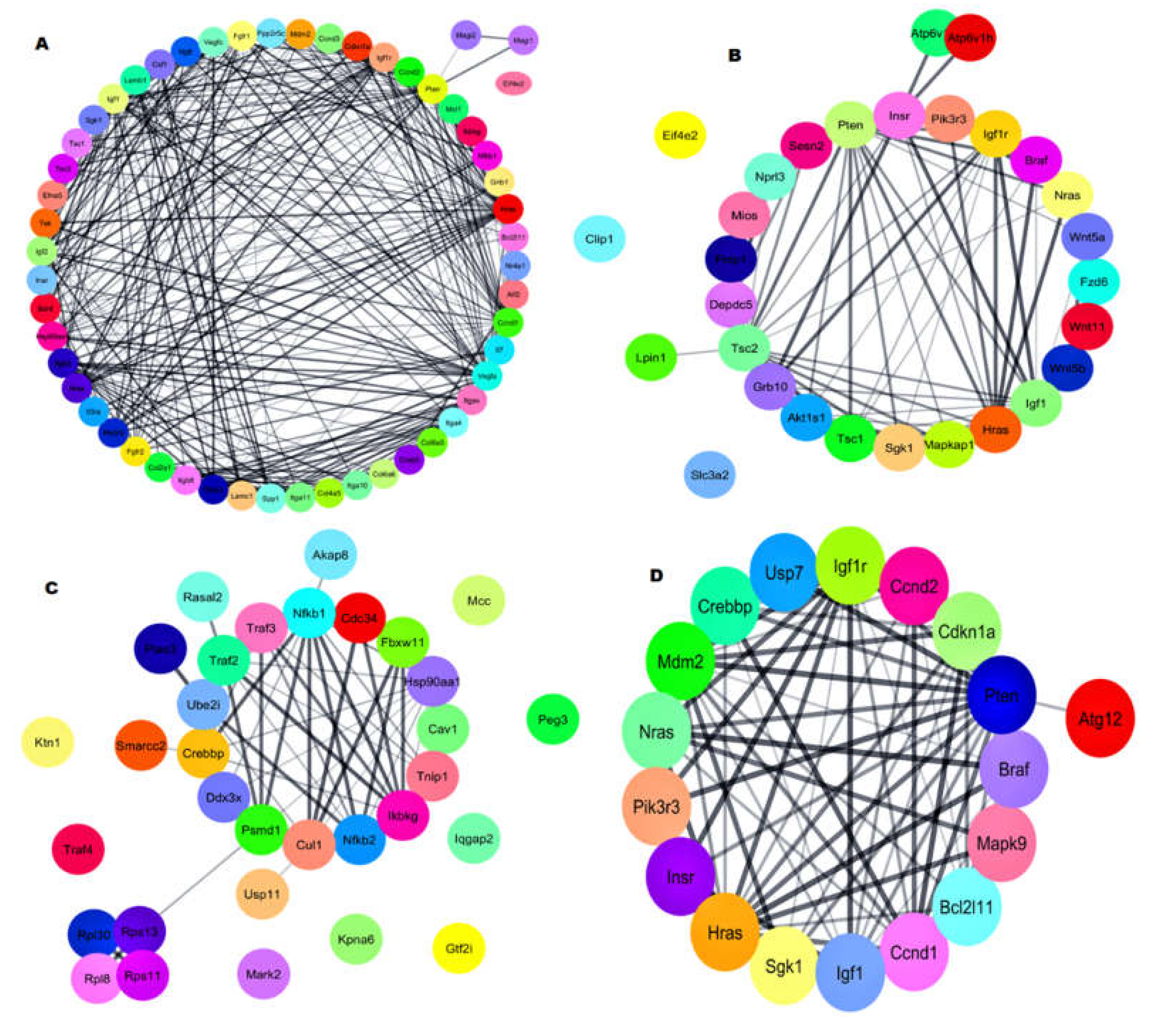 Biomedicines 08 00147 g005 Biomedicines 08 00147 g005
