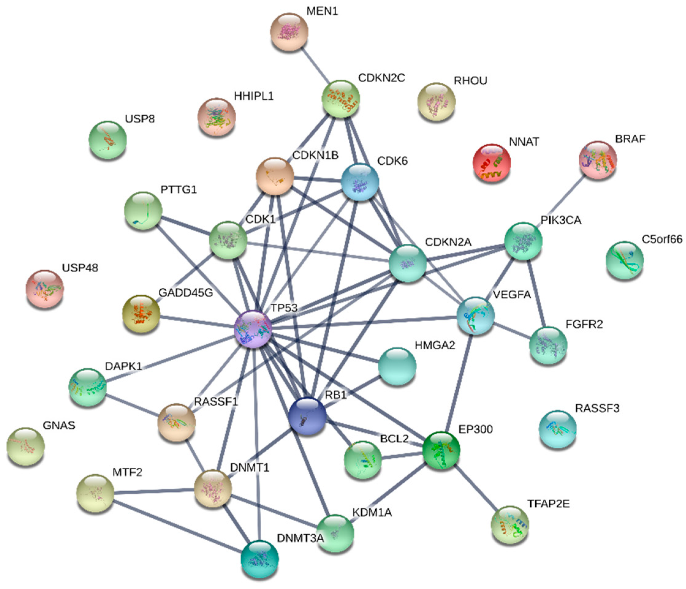 Biomedicines 08 00148 g001