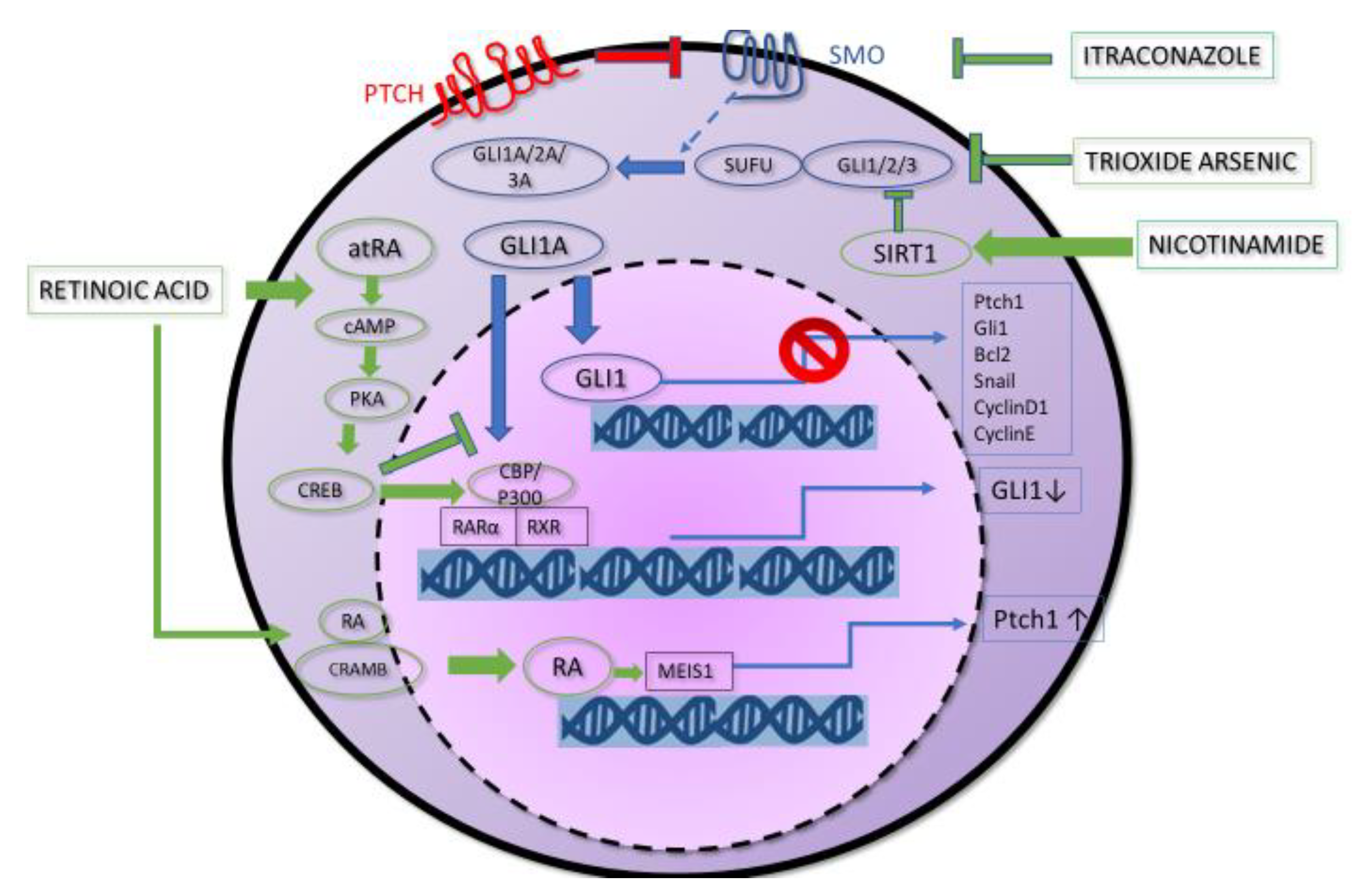 Biomedicines 08 00156 g001 Biomedicines 08 00156 g001