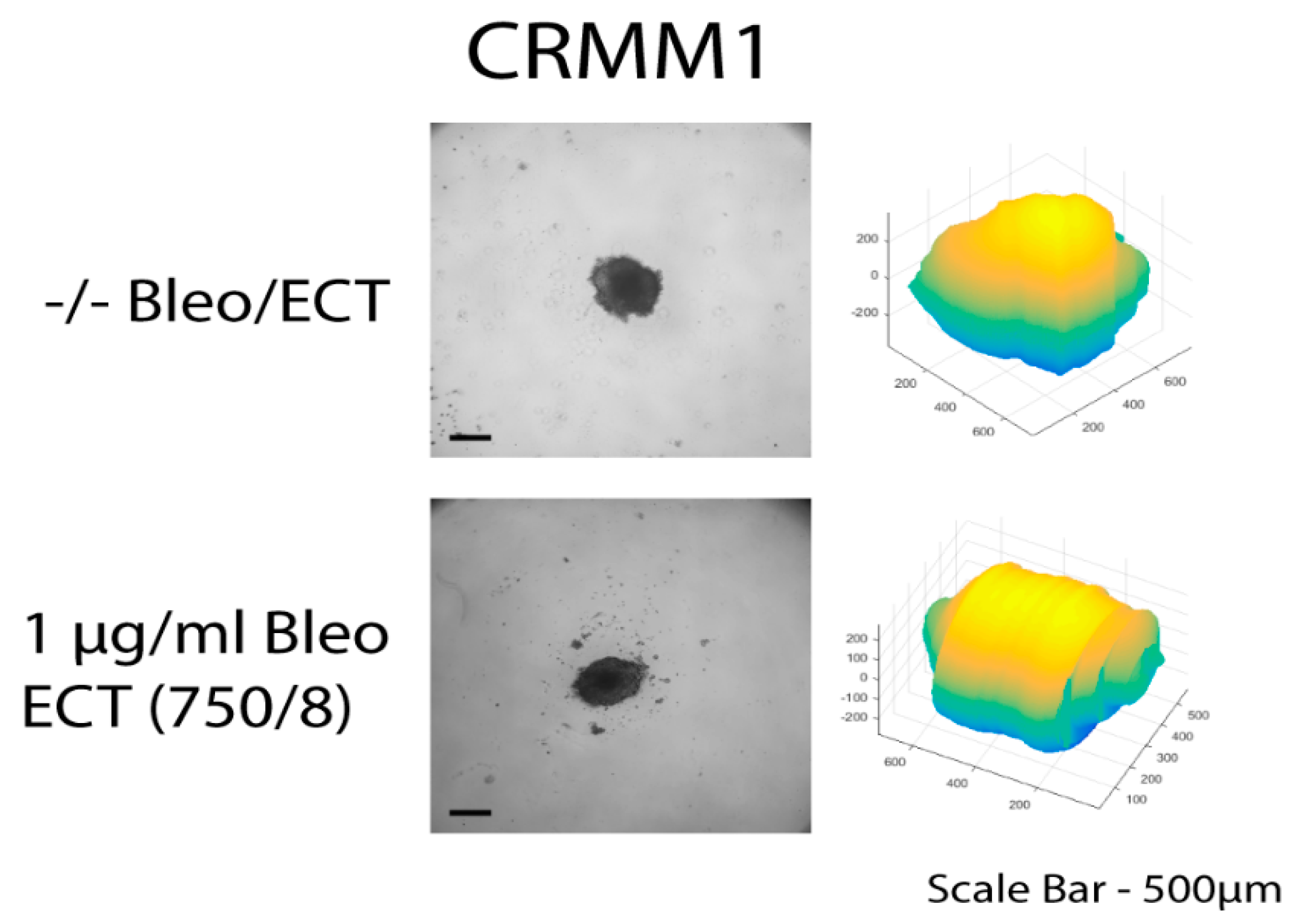 Biomedicines 08 00158 g003