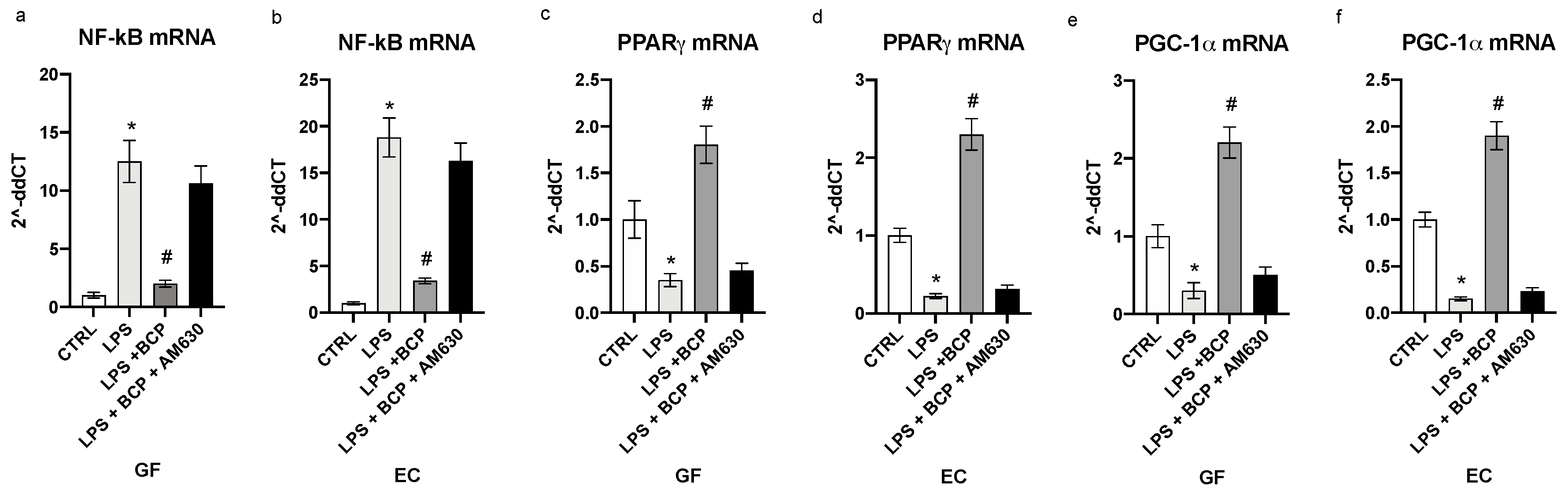 Biomedicines 08 00164 g003
