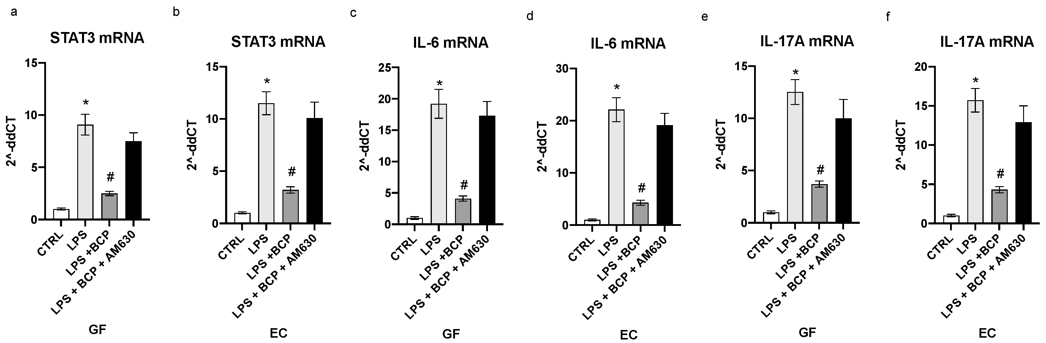 Biomedicines 08 00164 g004