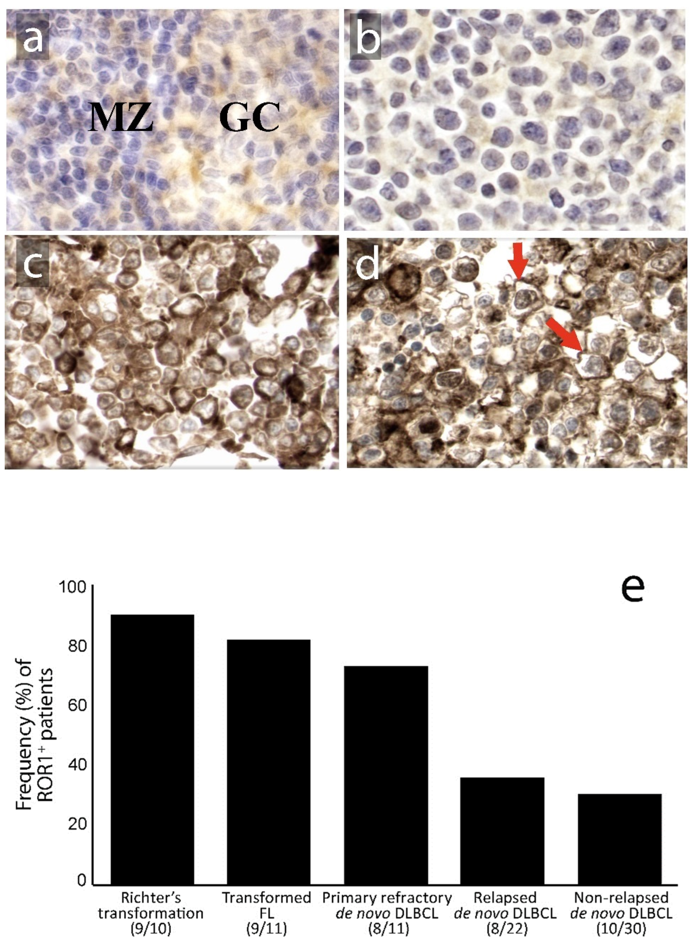 Biomedicines 08 00170 g001