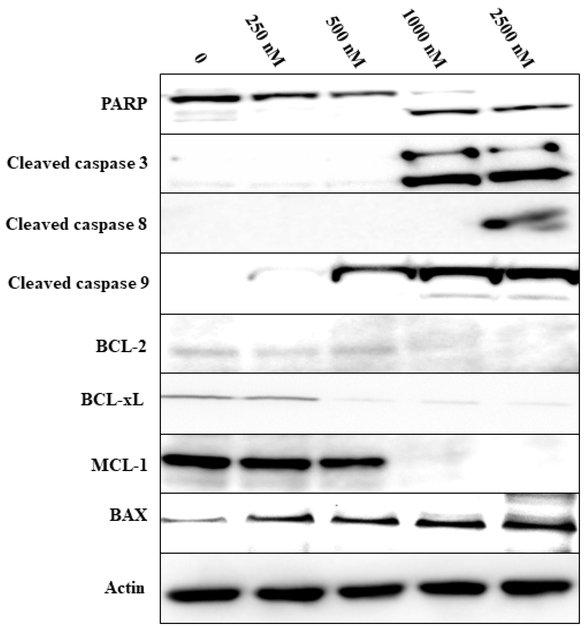 Biomedicines 08 00170 g003