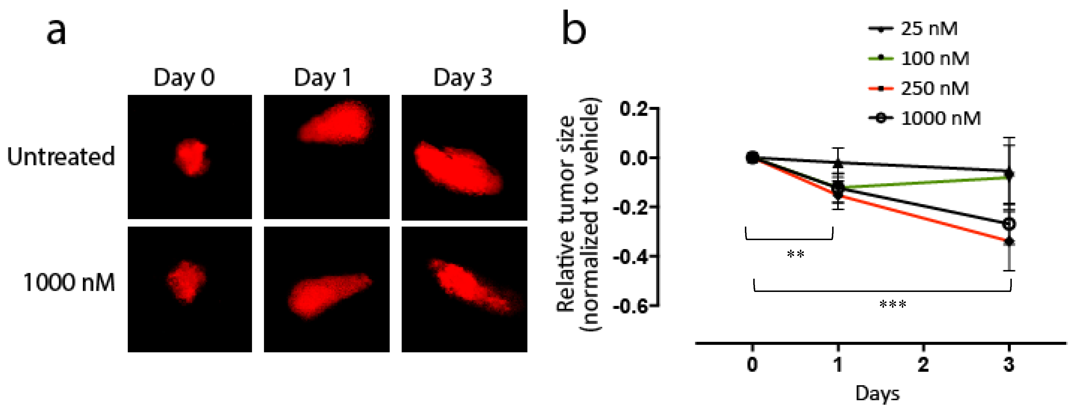 Biomedicines 08 00170 g005