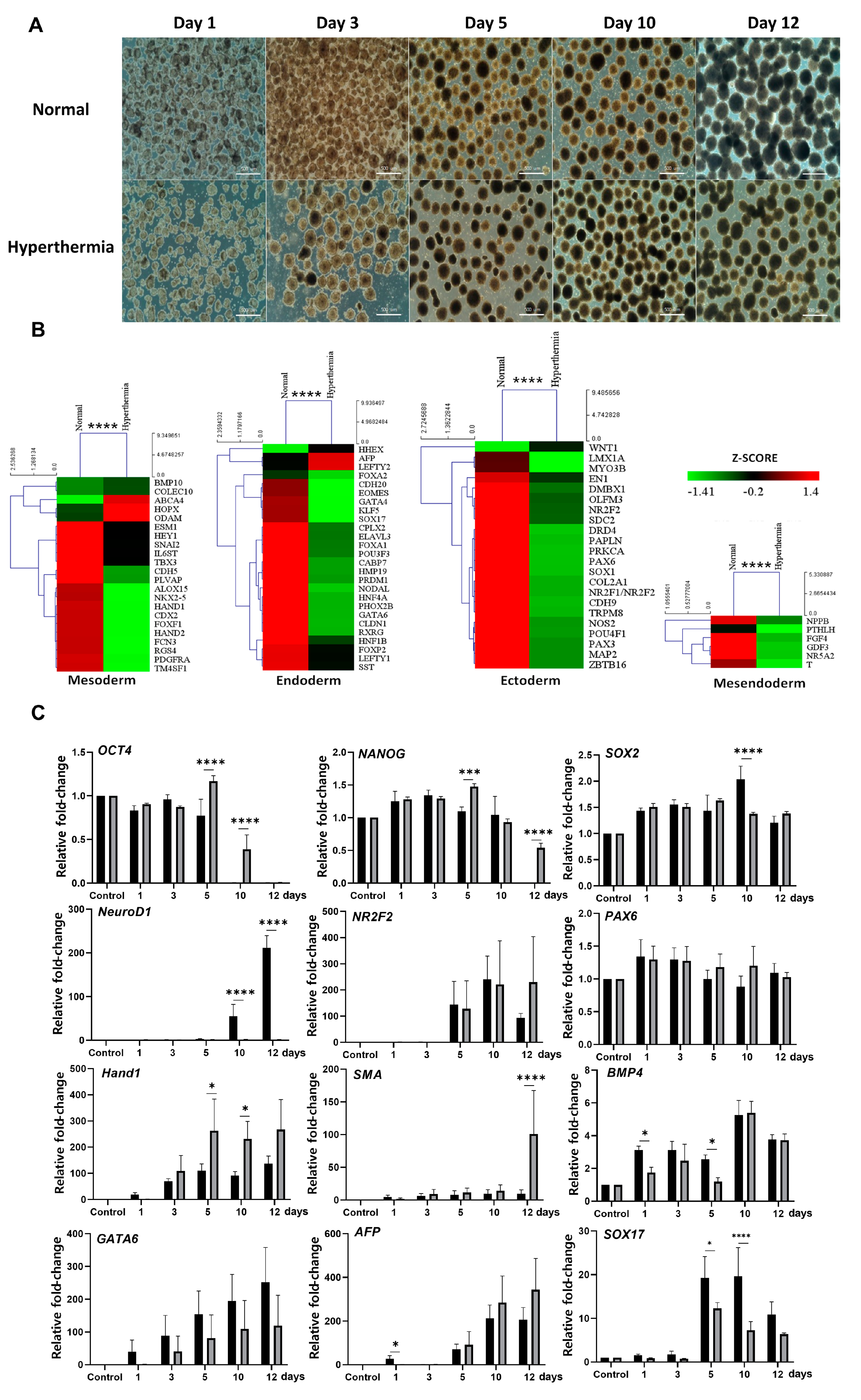 Biomedicines 08 00176 g003 Biomedicines 08 00176 g003