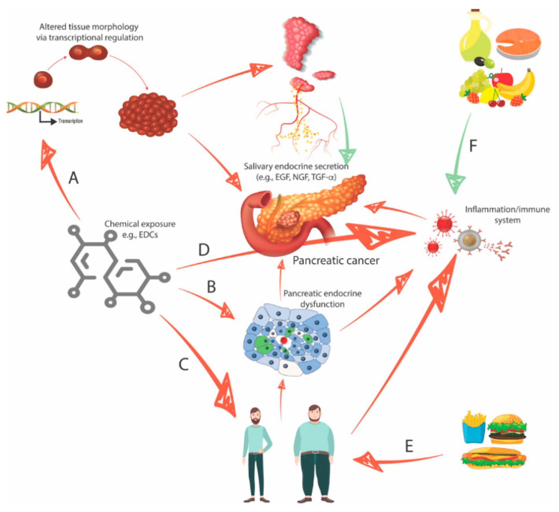 Biomedicines 08 00178 g002 Biomedicines 08 00178 g002