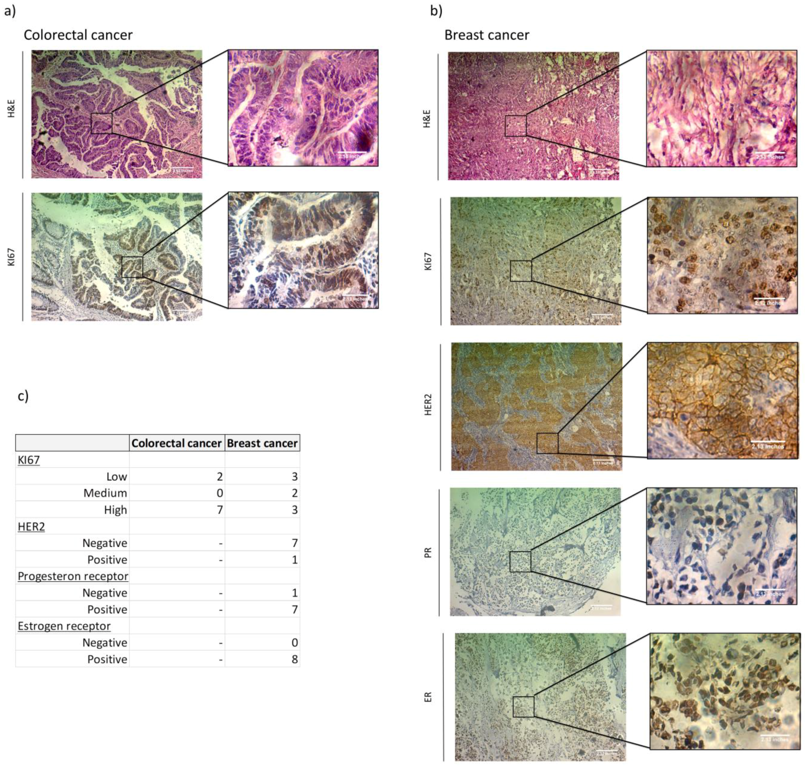 Biomedicines 08 00183 g001