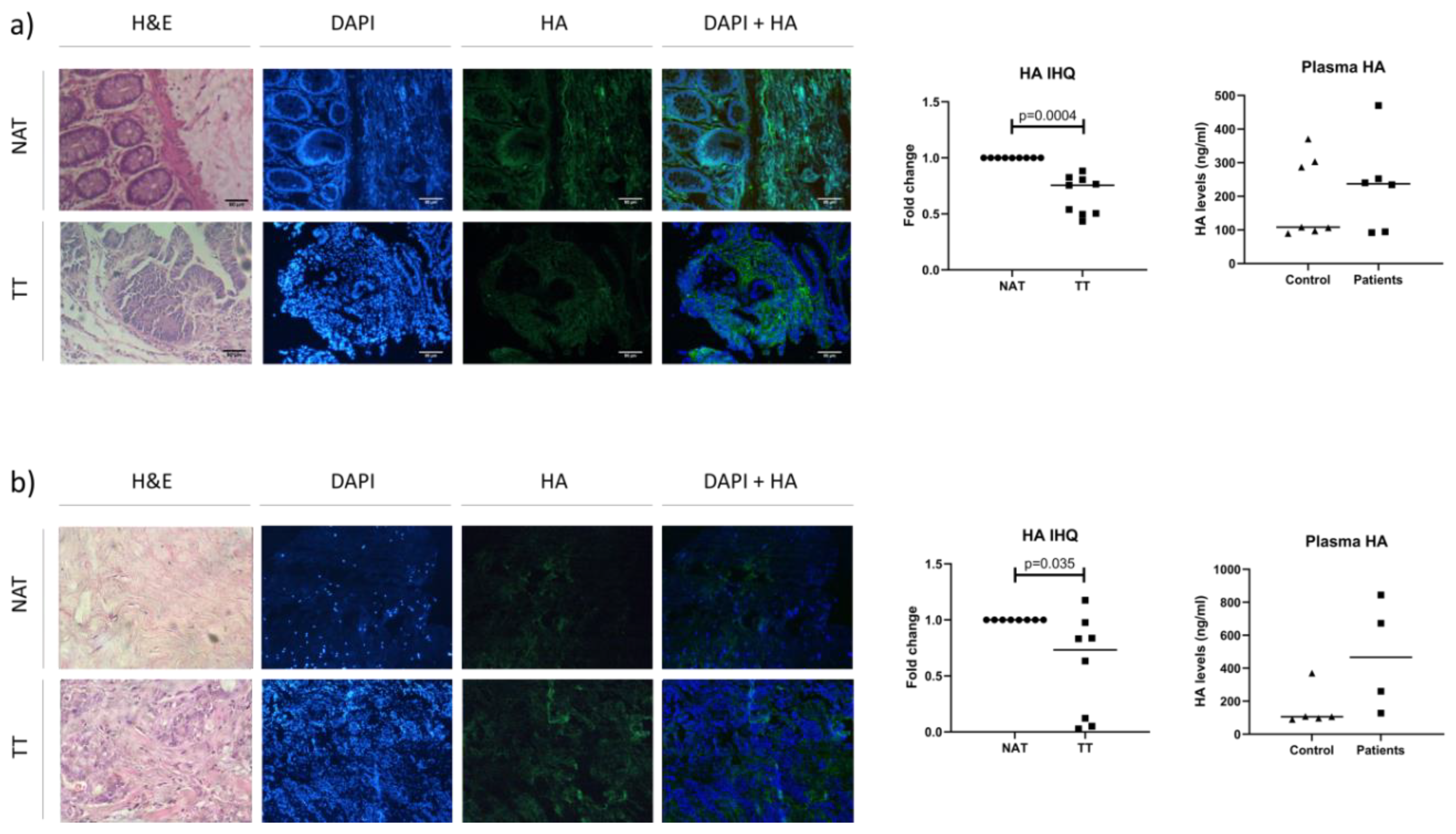 Biomedicines 08 00183 g003