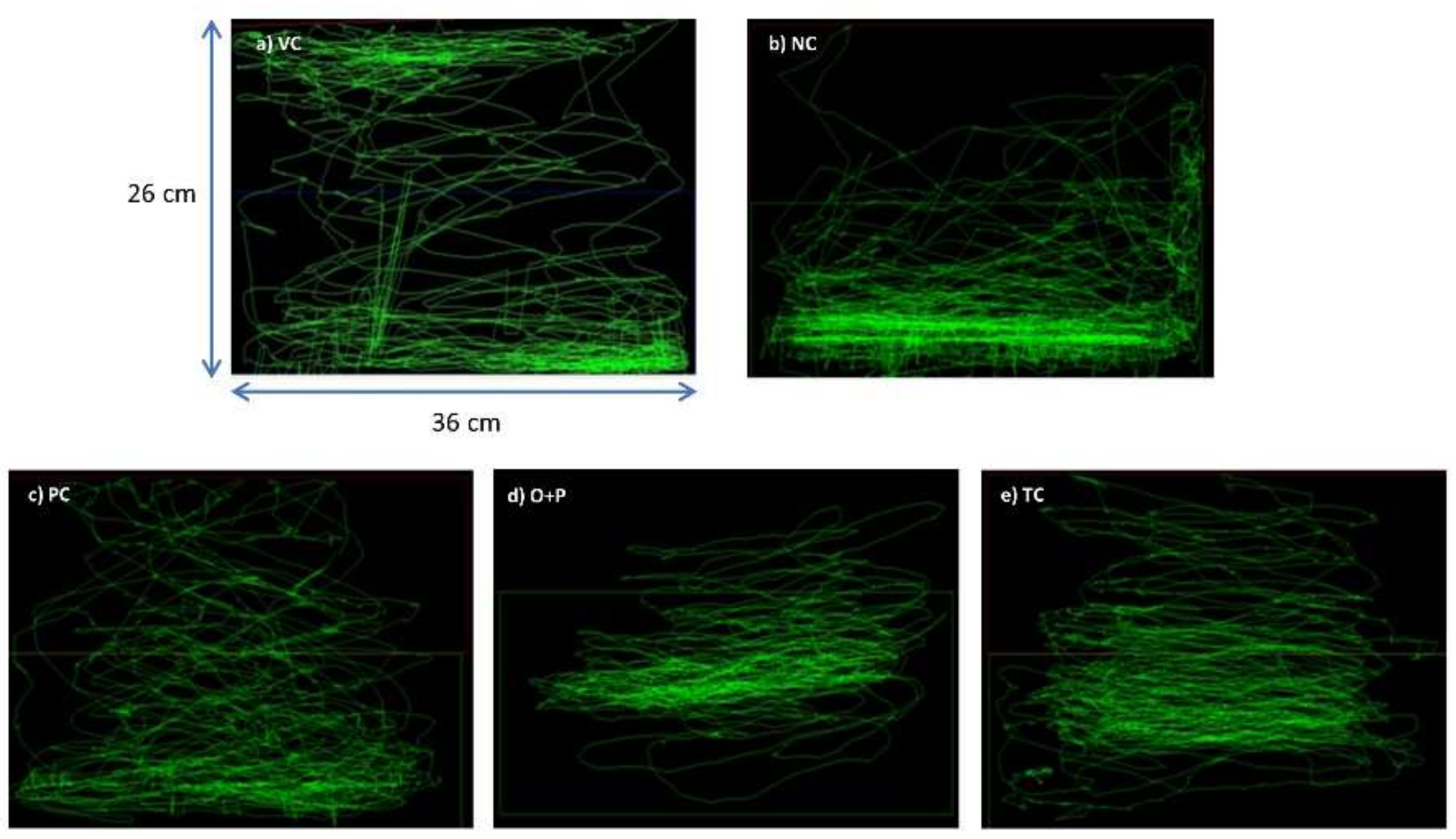 Biomedicines 08 00191 g004 Biomedicines 08 00191 g004