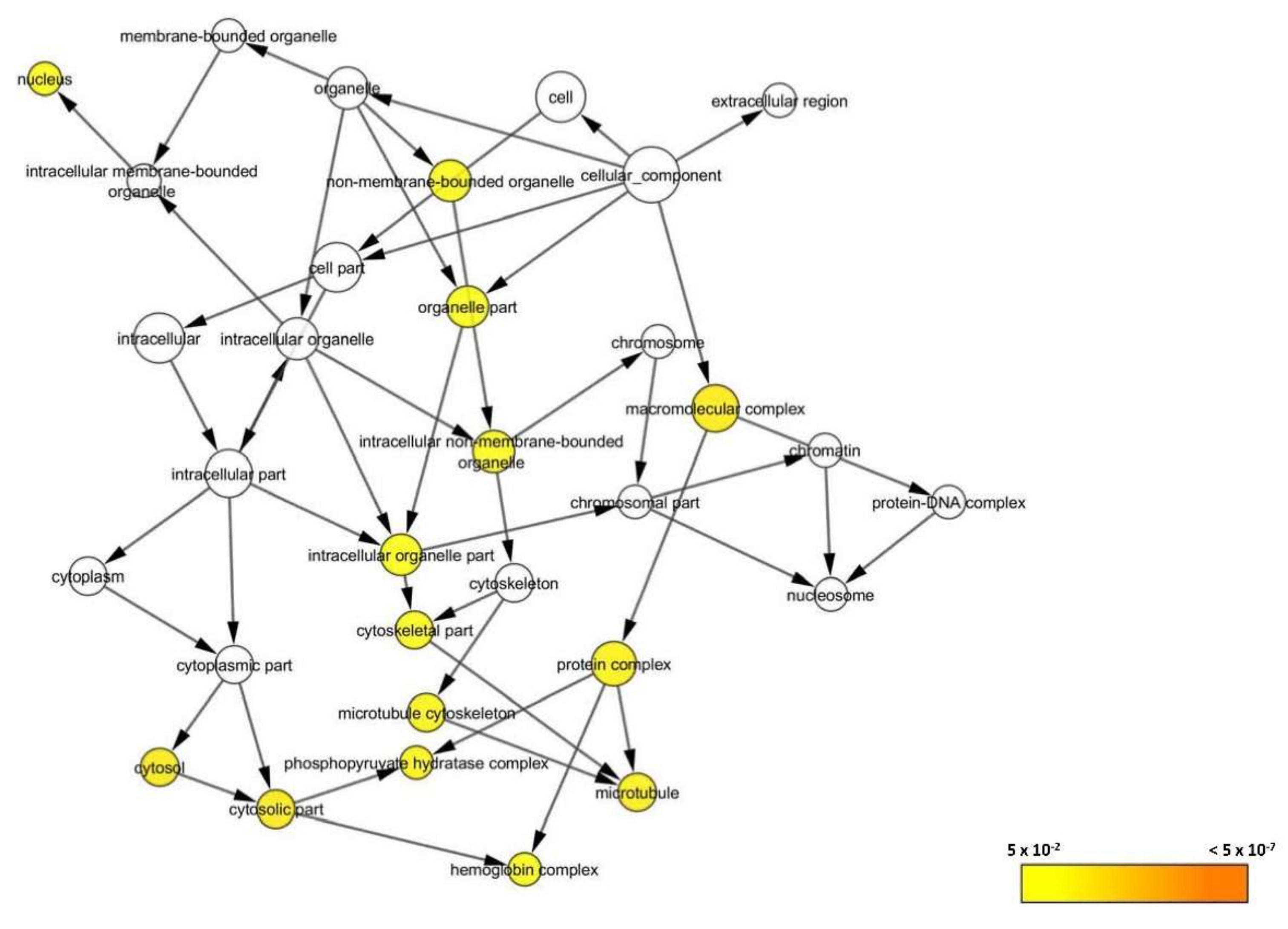 Biomedicines 08 00191 g009 Biomedicines 08 00191 g009