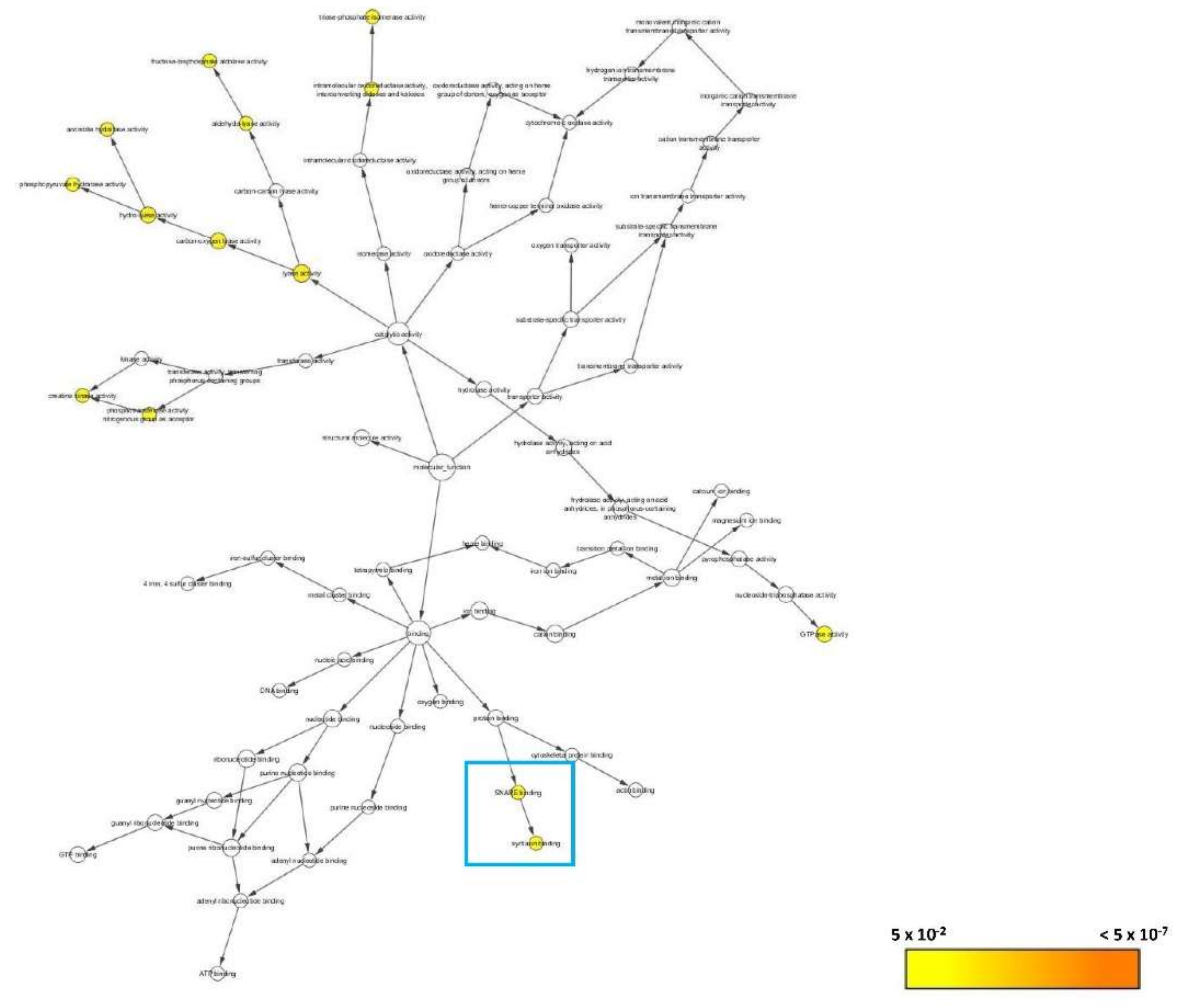 Biomedicines 08 00191 g010 Biomedicines 08 00191 g010