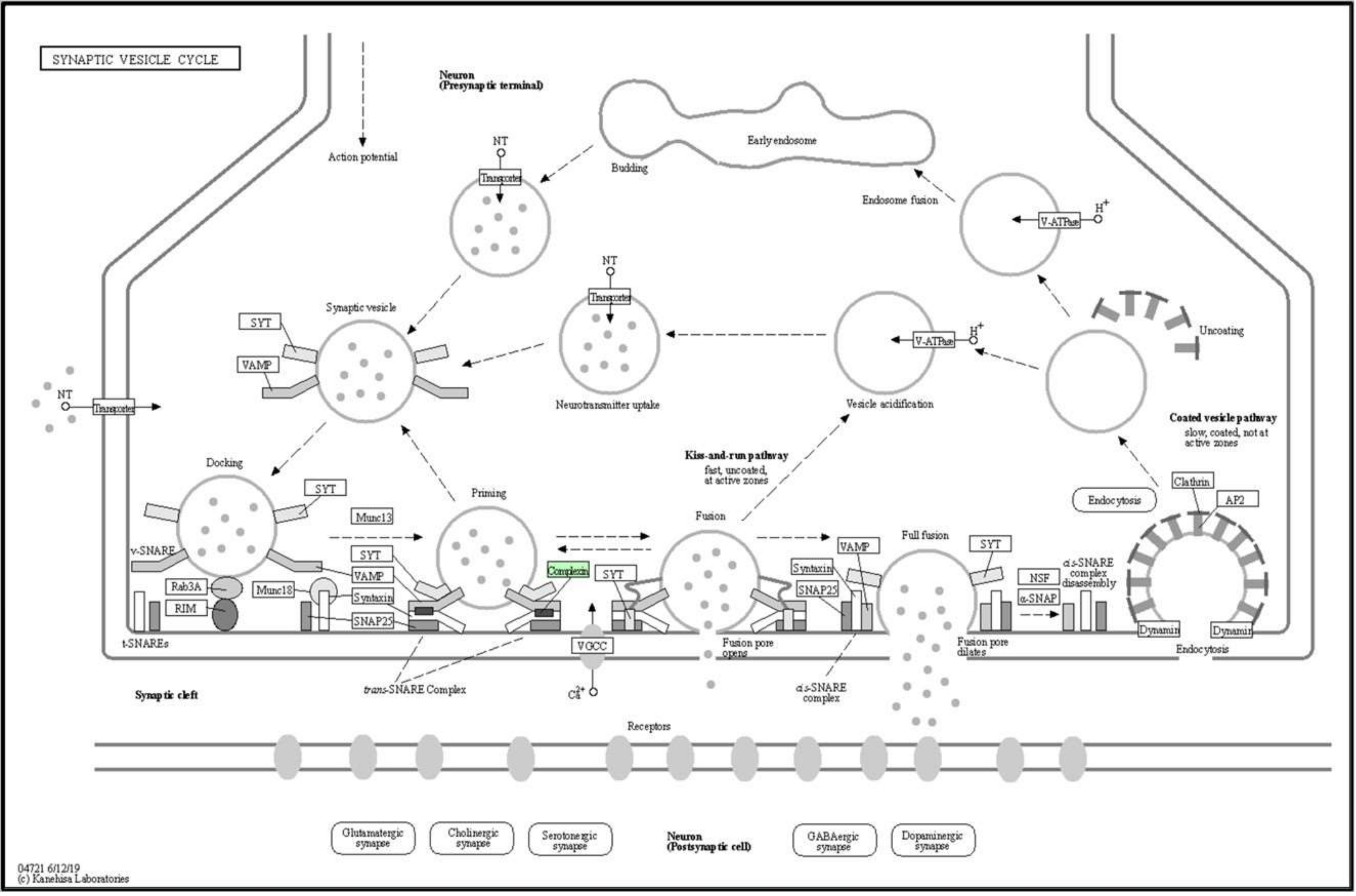 Biomedicines 08 00191 g011 Biomedicines 08 00191 g011