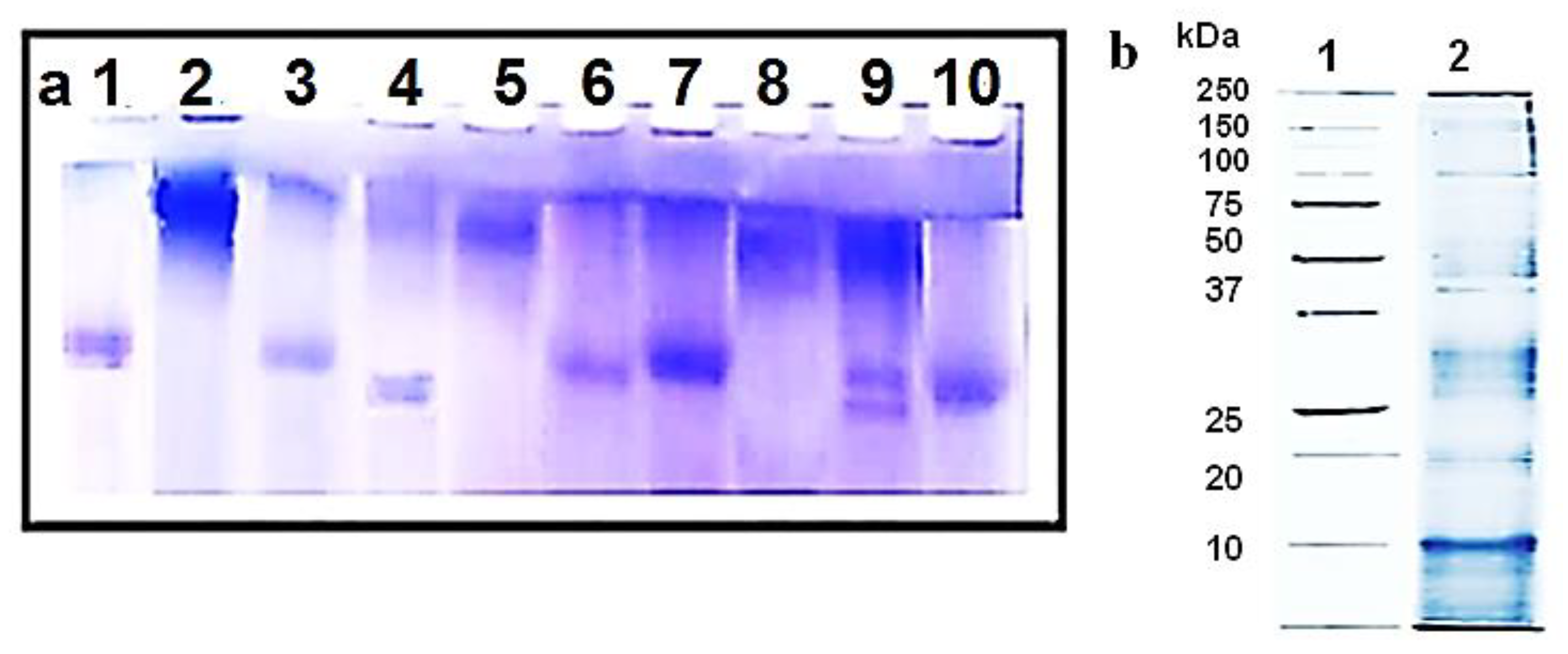 Biomedicines 08 00194 g001 Biomedicines 08 00194 g001