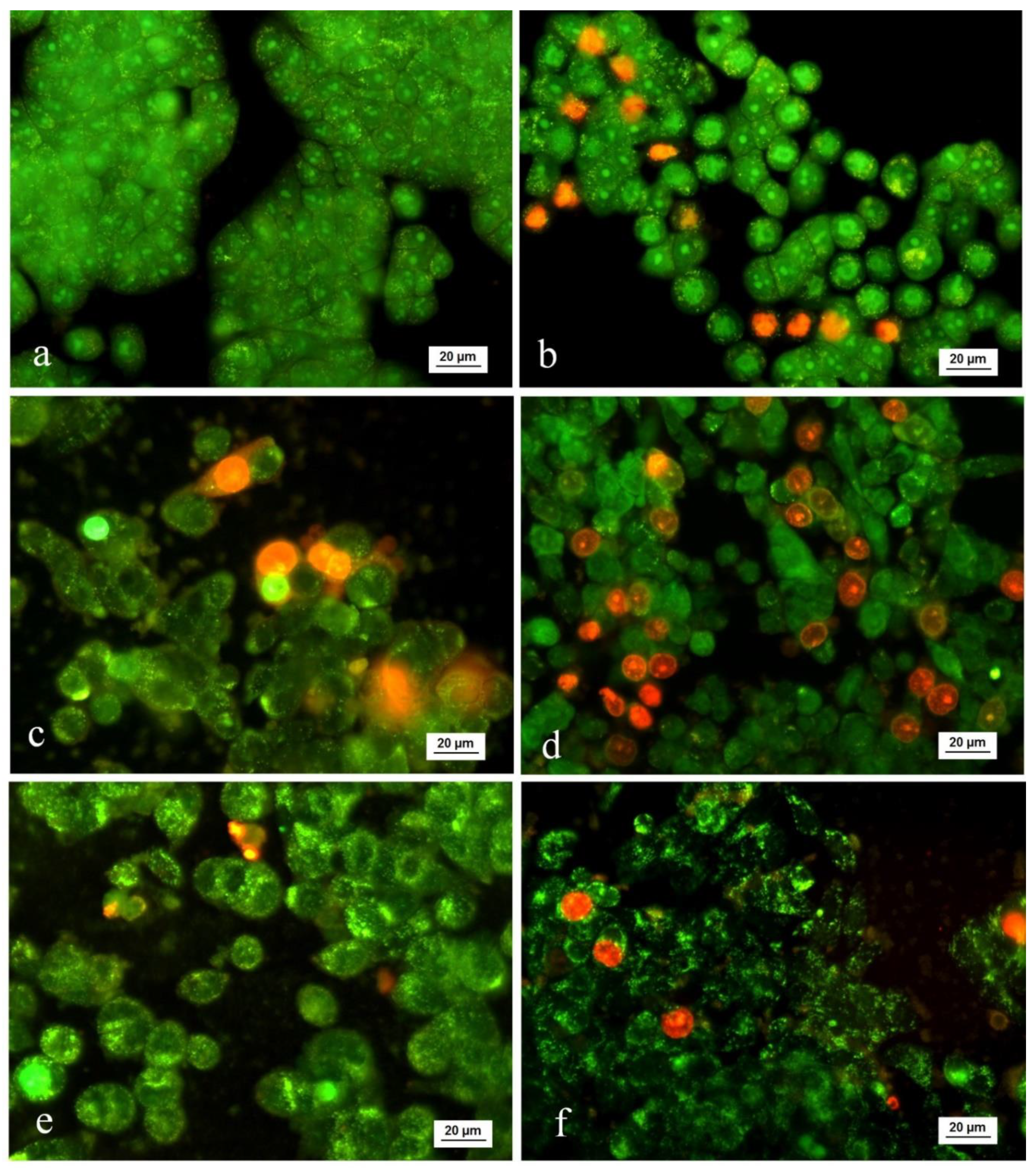 Biomedicines 08 00194 g003 Biomedicines 08 00194 g003