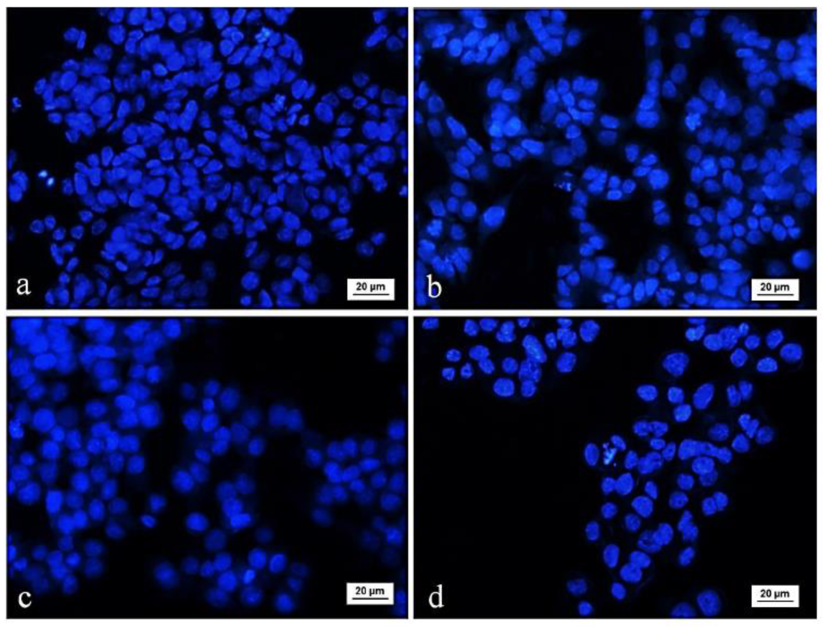 Biomedicines 08 00194 g004 Biomedicines 08 00194 g004