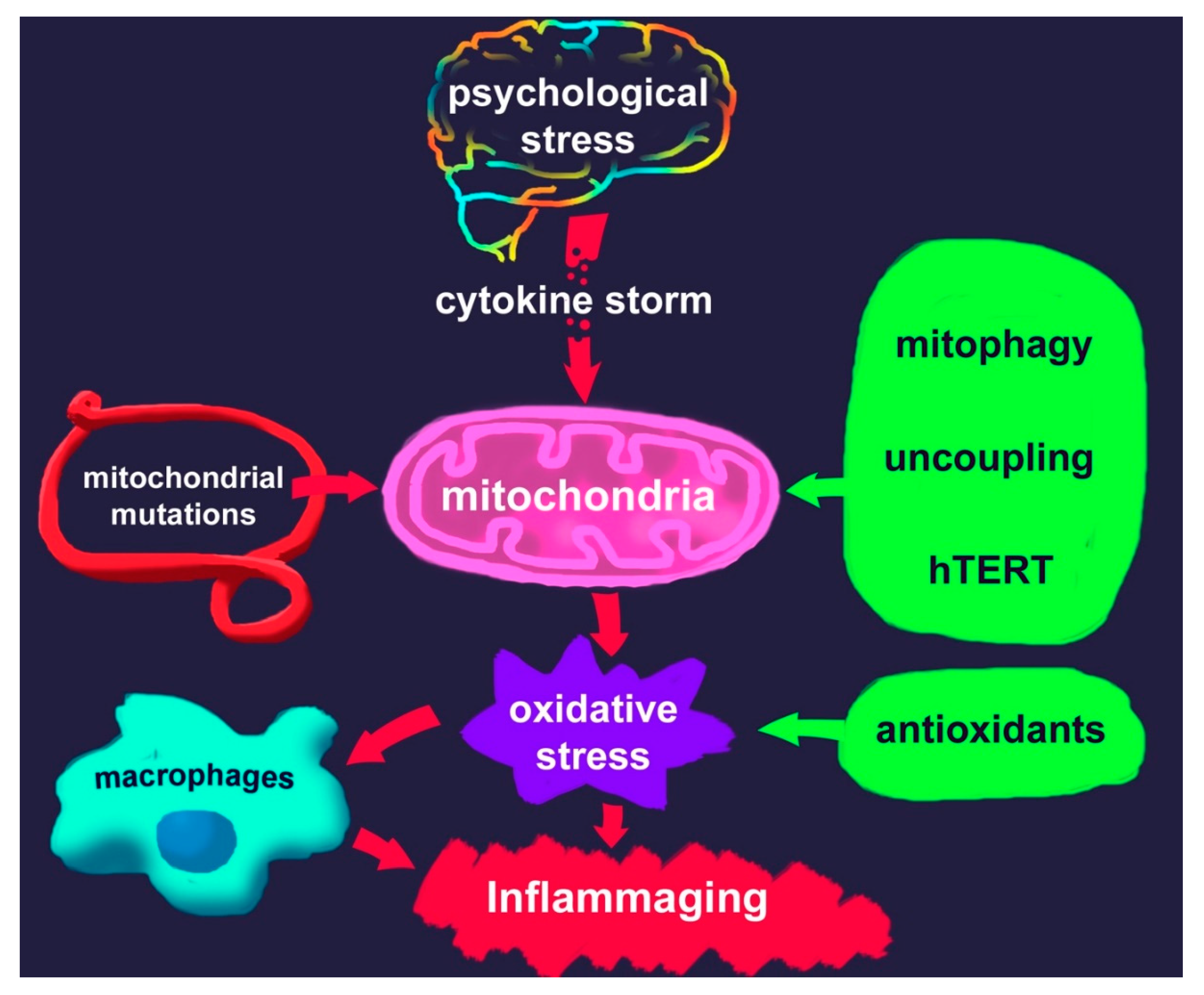 Symptoms of psychological stress among respondents - Download Scientific  Diagram