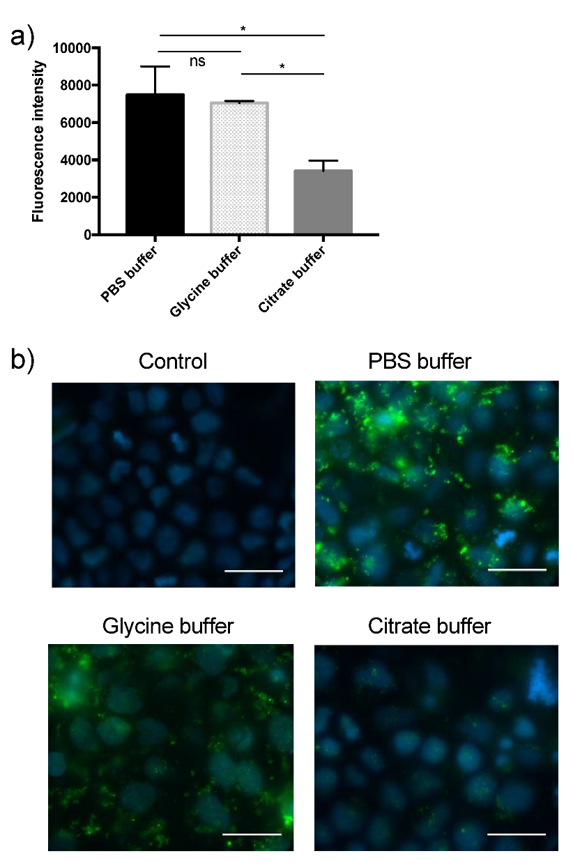Biomedicines 08 00211 g002