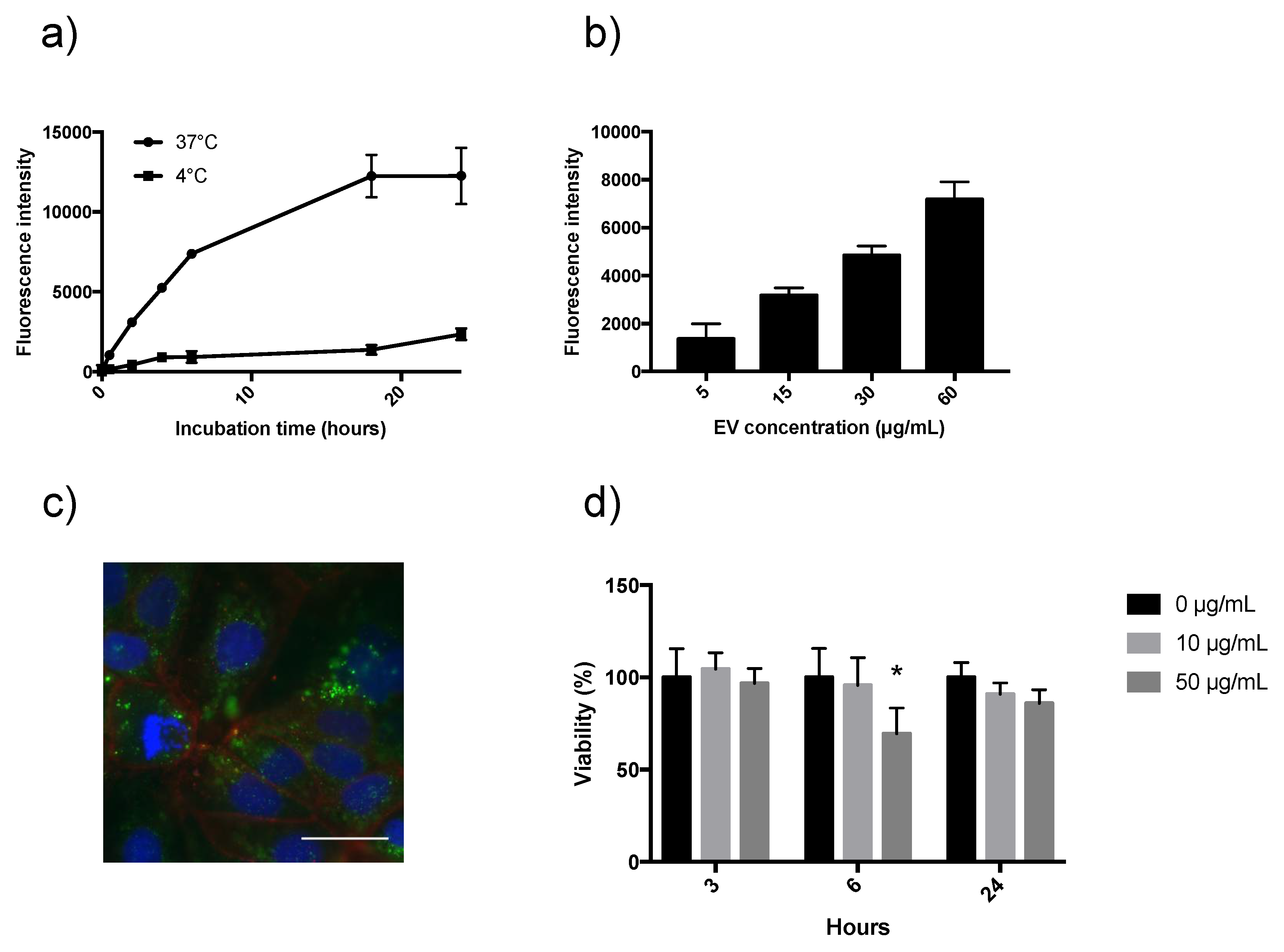 Biomedicines 08 00211 g003