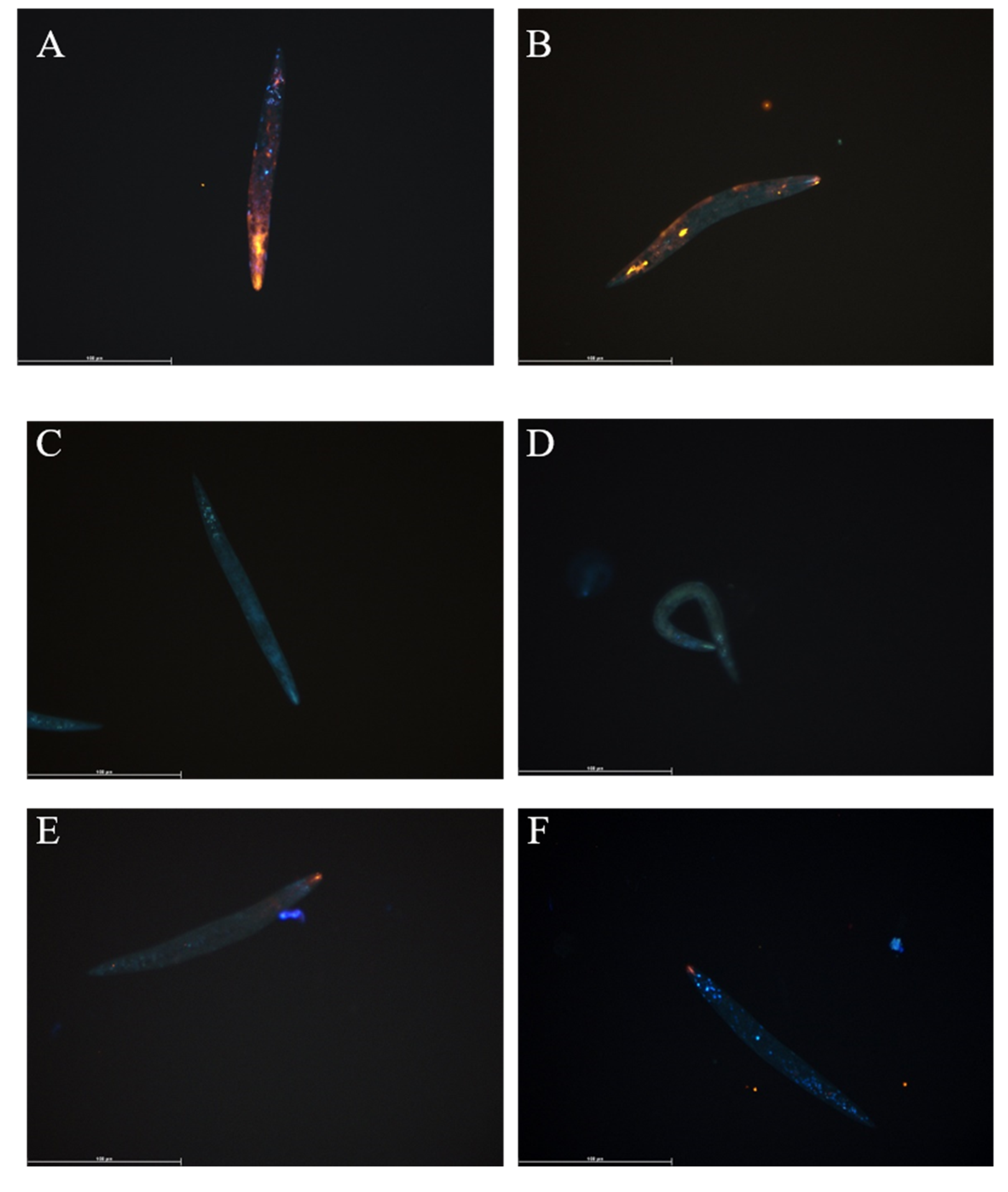 Biomedicines 08 00213 g001