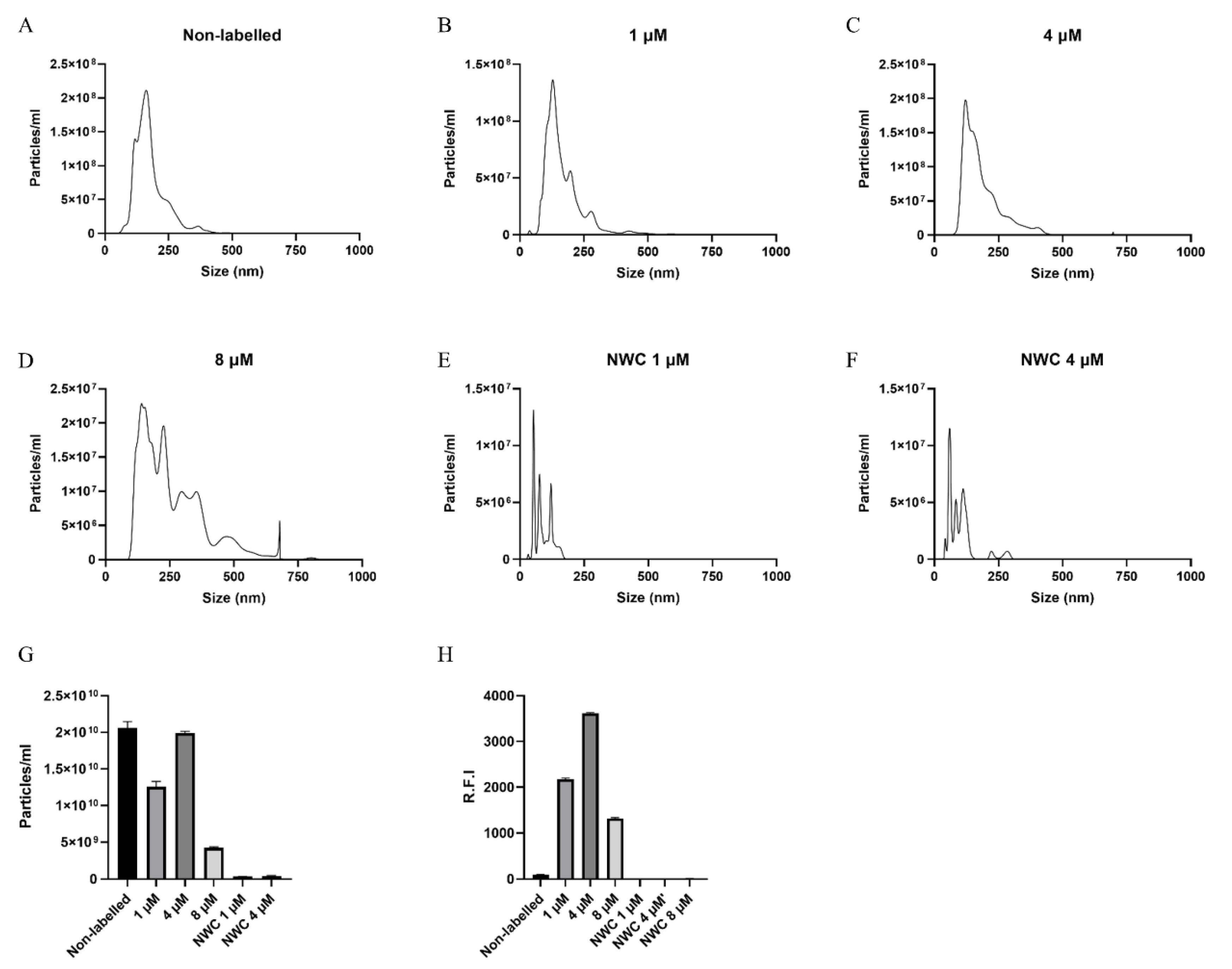 Biomedicines 08 00213 g003