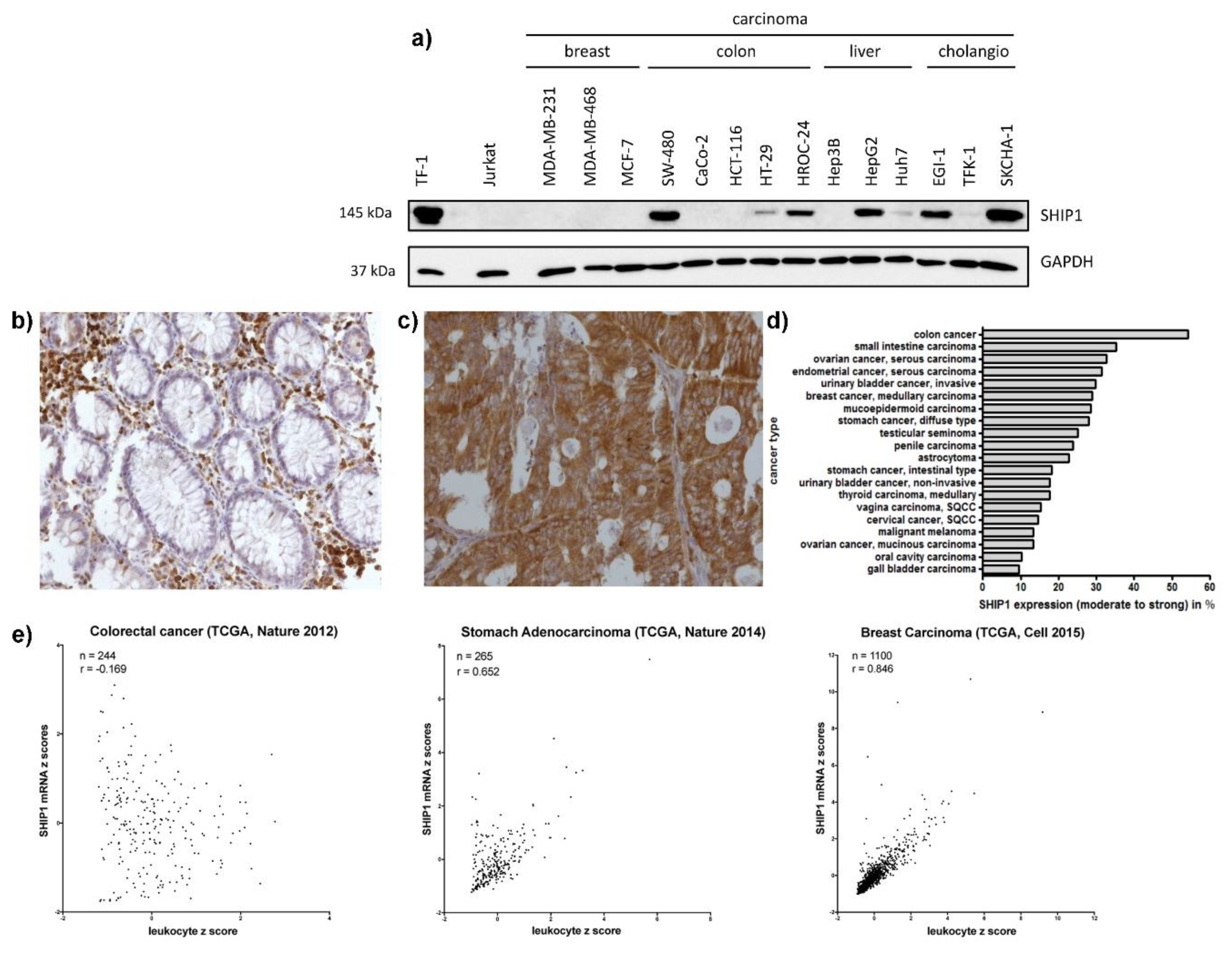 Biomedicines 08 00215 g001