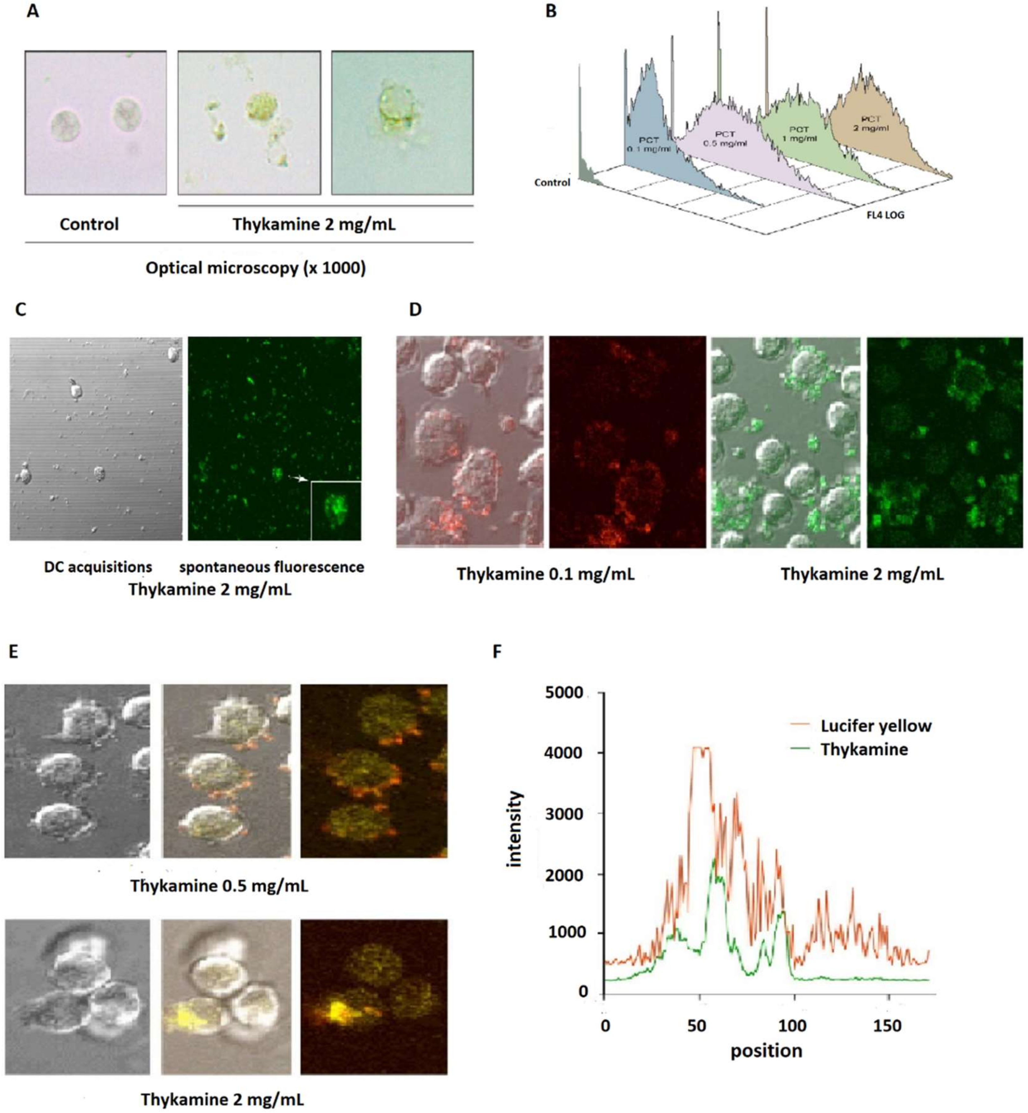 Biomedicines 08 00219 g005