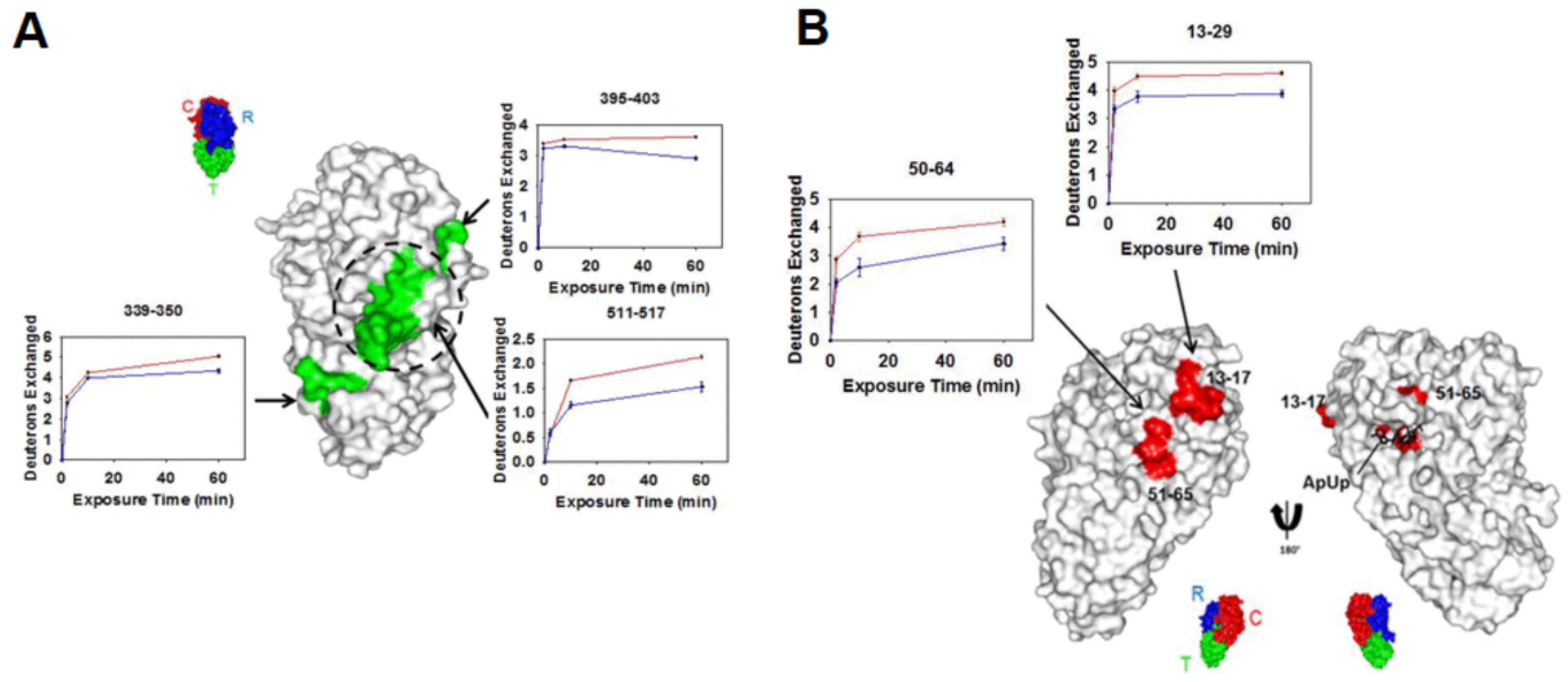 Biomedicines 08 00224 g008