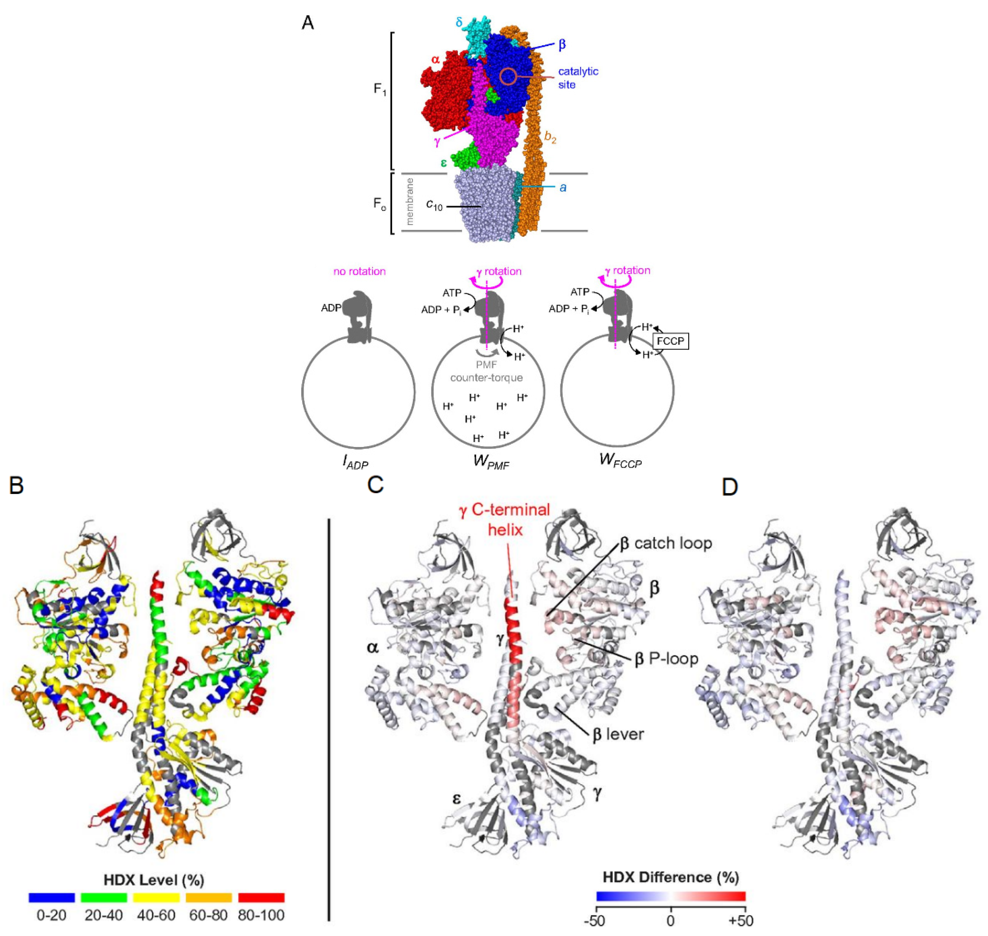 Biomedicines 08 00224 g009