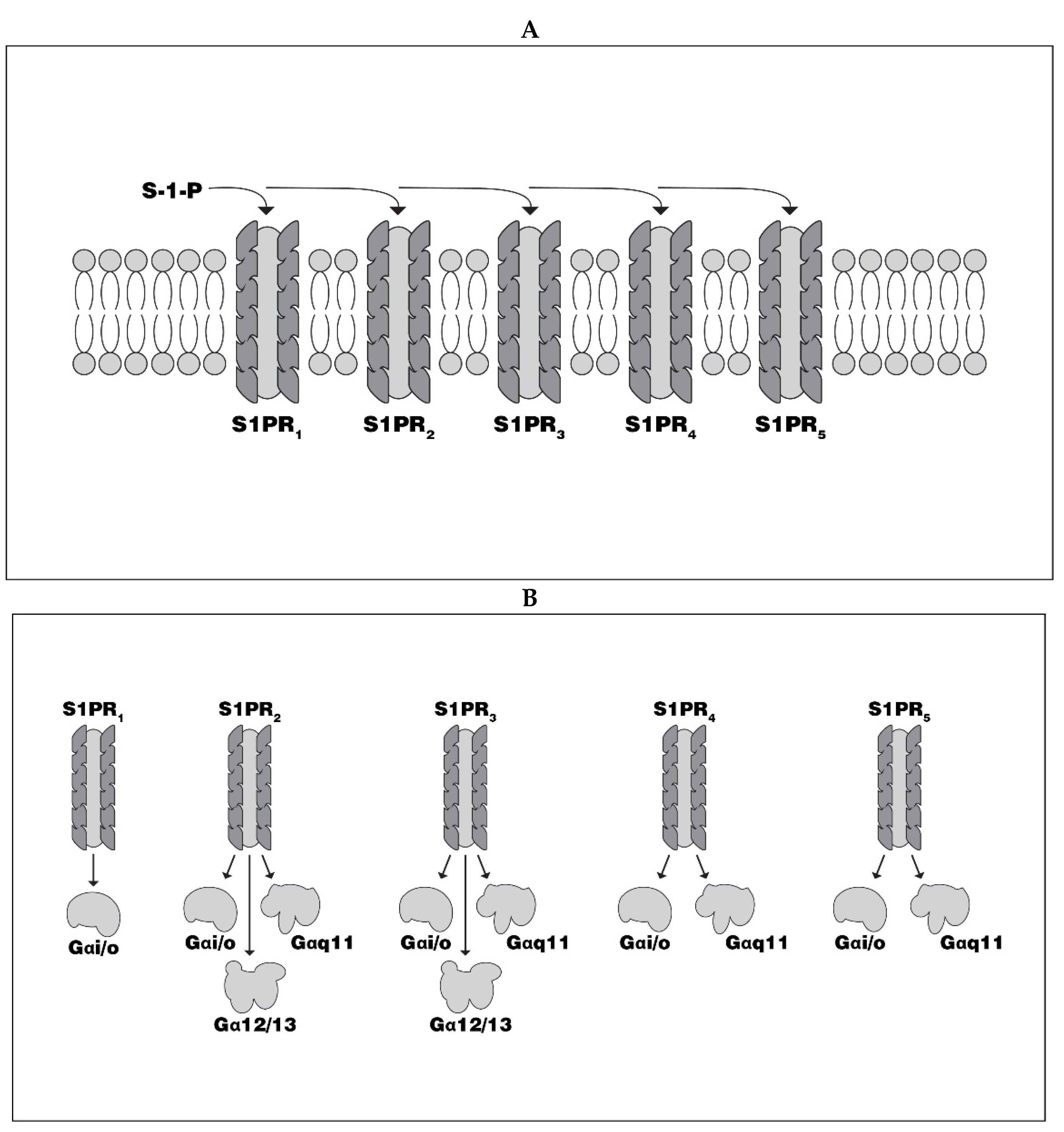 Biomedicines Free Full Text Sphingosine 1 Phosphate Its Pharmacological Regulation And The Treatment Of Multiple Sclerosis A Review Article Html