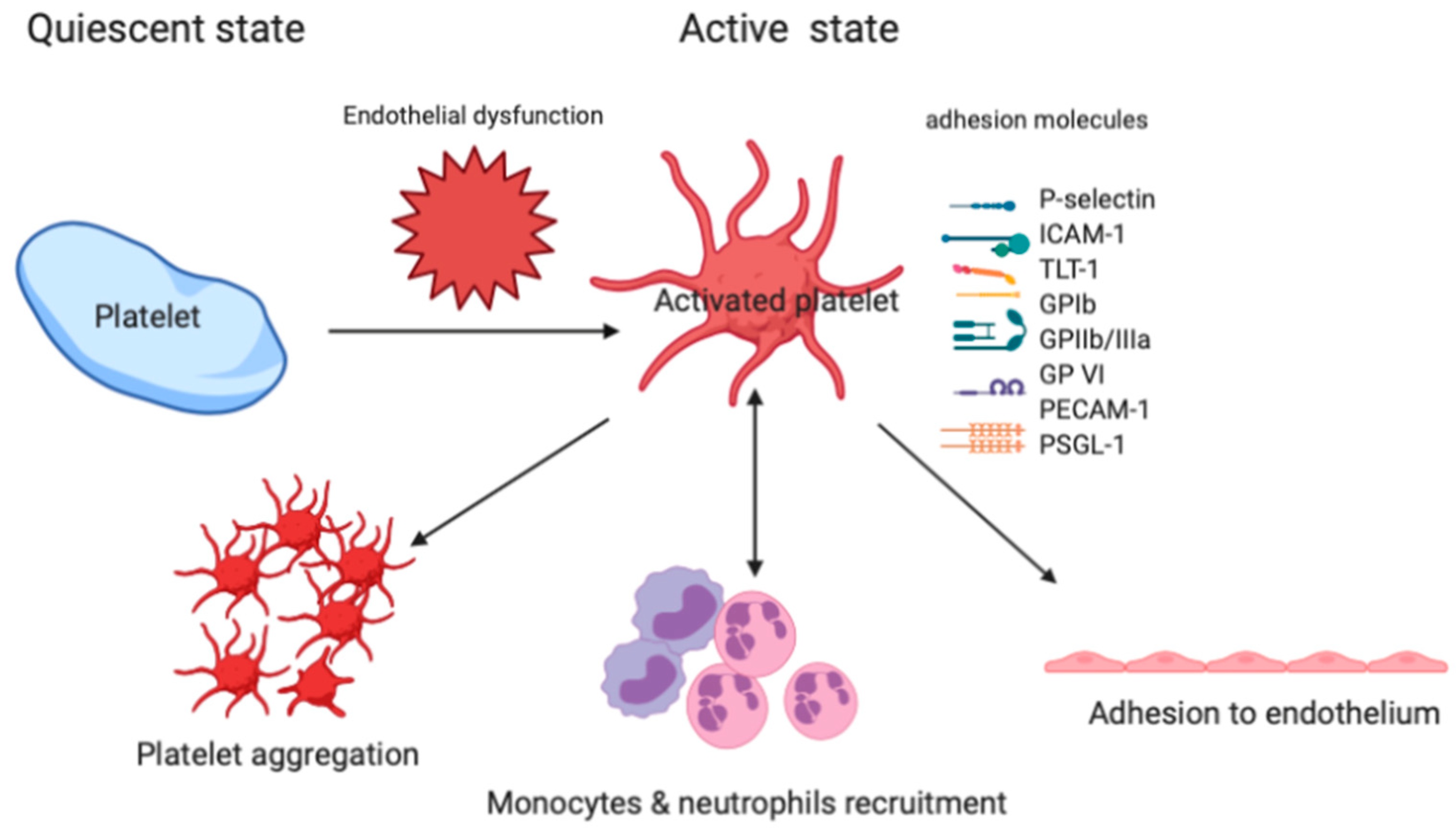Biomedicines 08 00230 g003