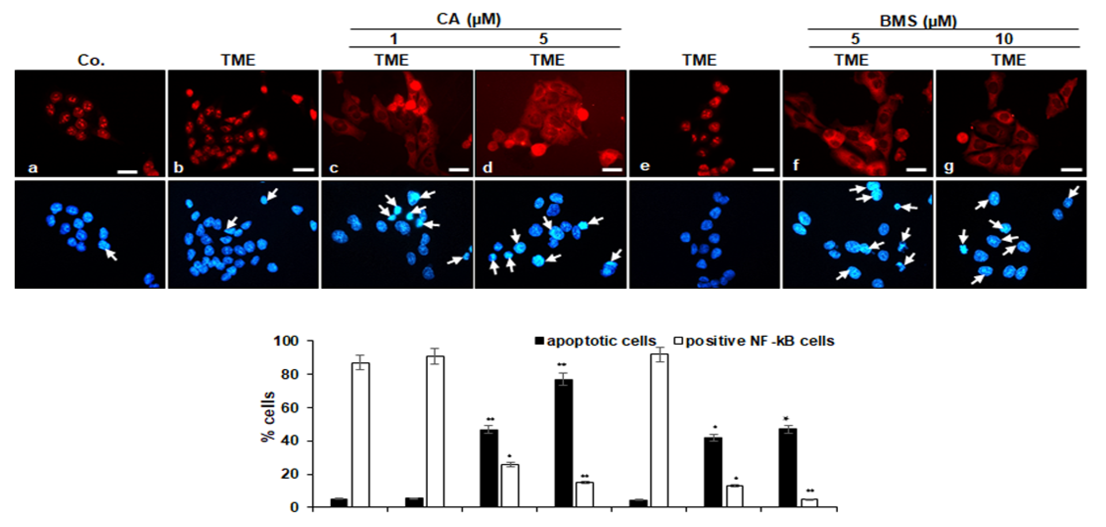 Biomedicines 08 00236 g004