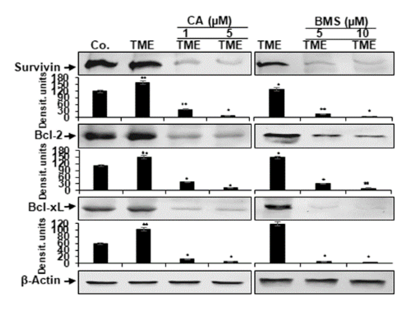 Biomedicines 08 00236 g006