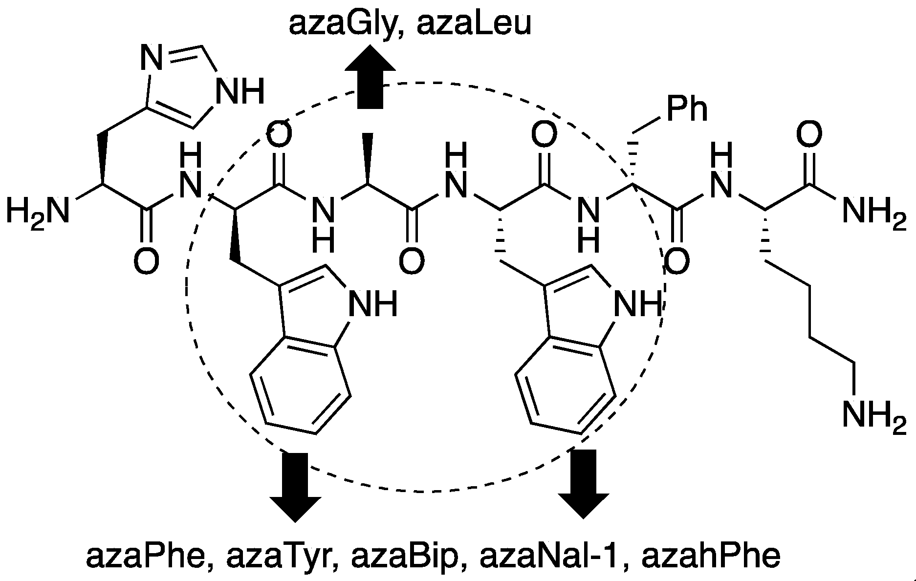 Biomedicines 08 00241 g001