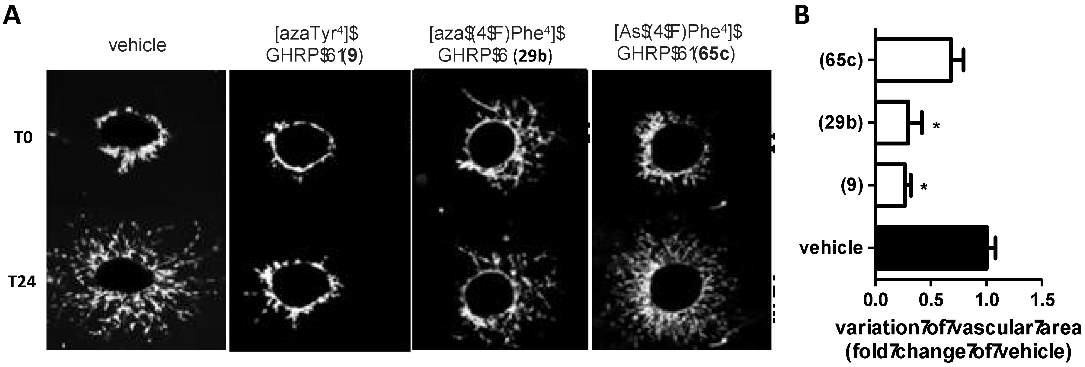 Biomedicines 08 00241 g007
