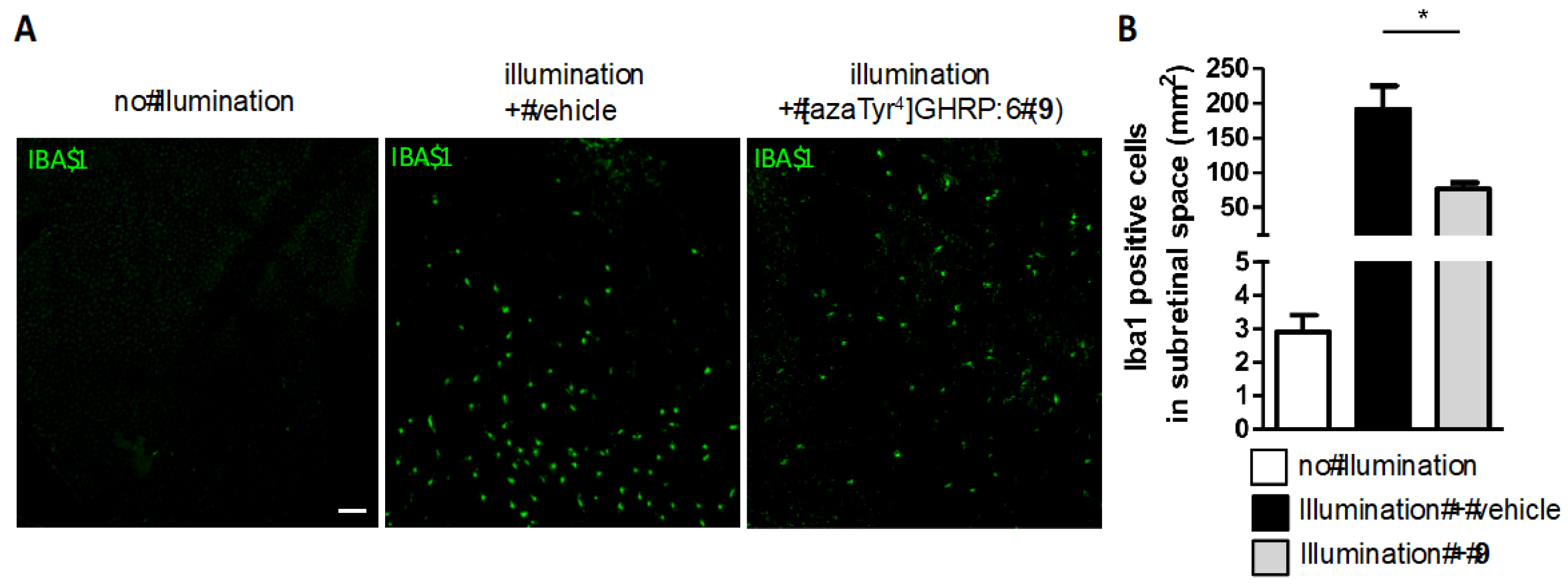 Biomedicines 08 00241 g011