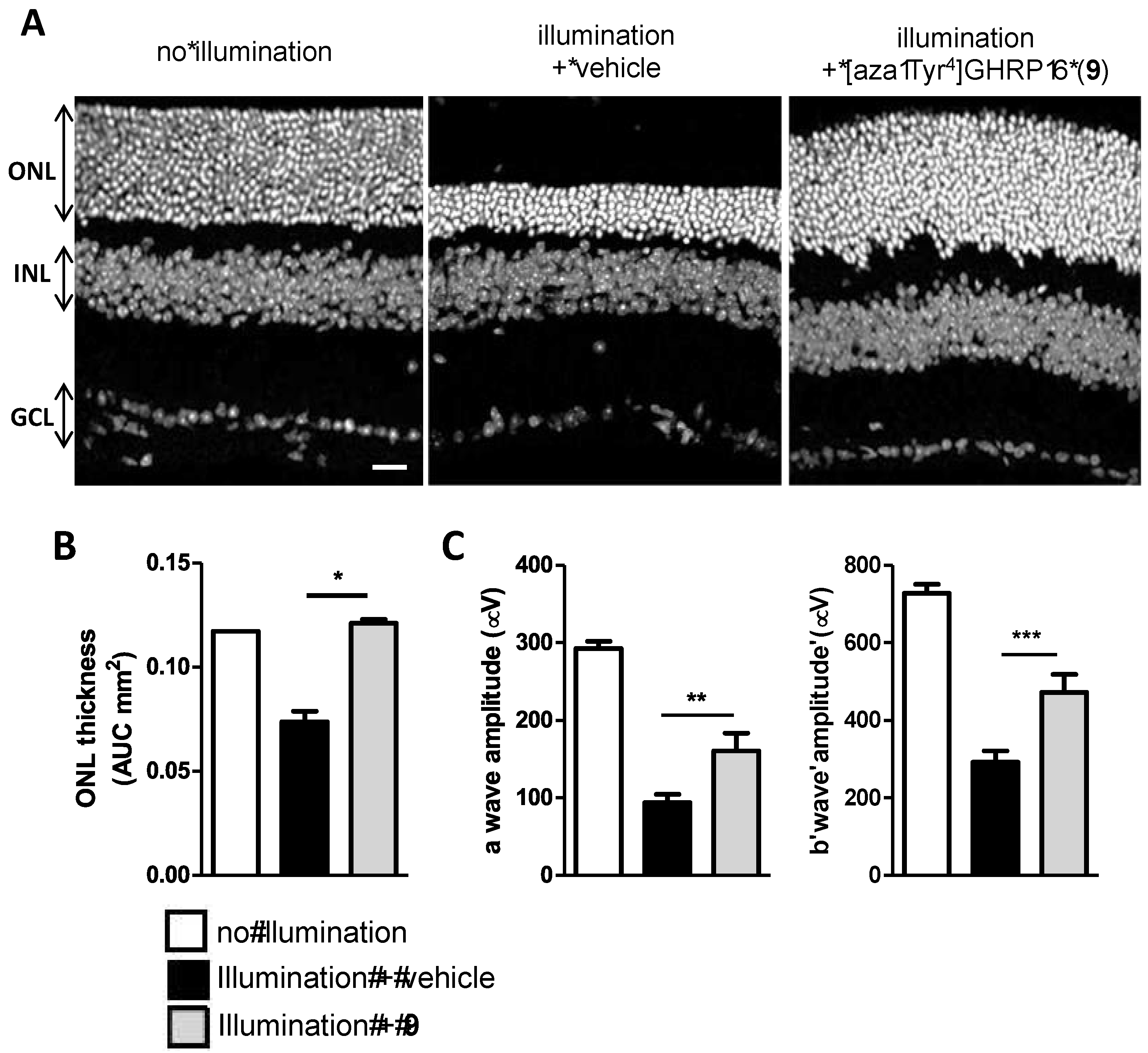 Biomedicines 08 00241 g012