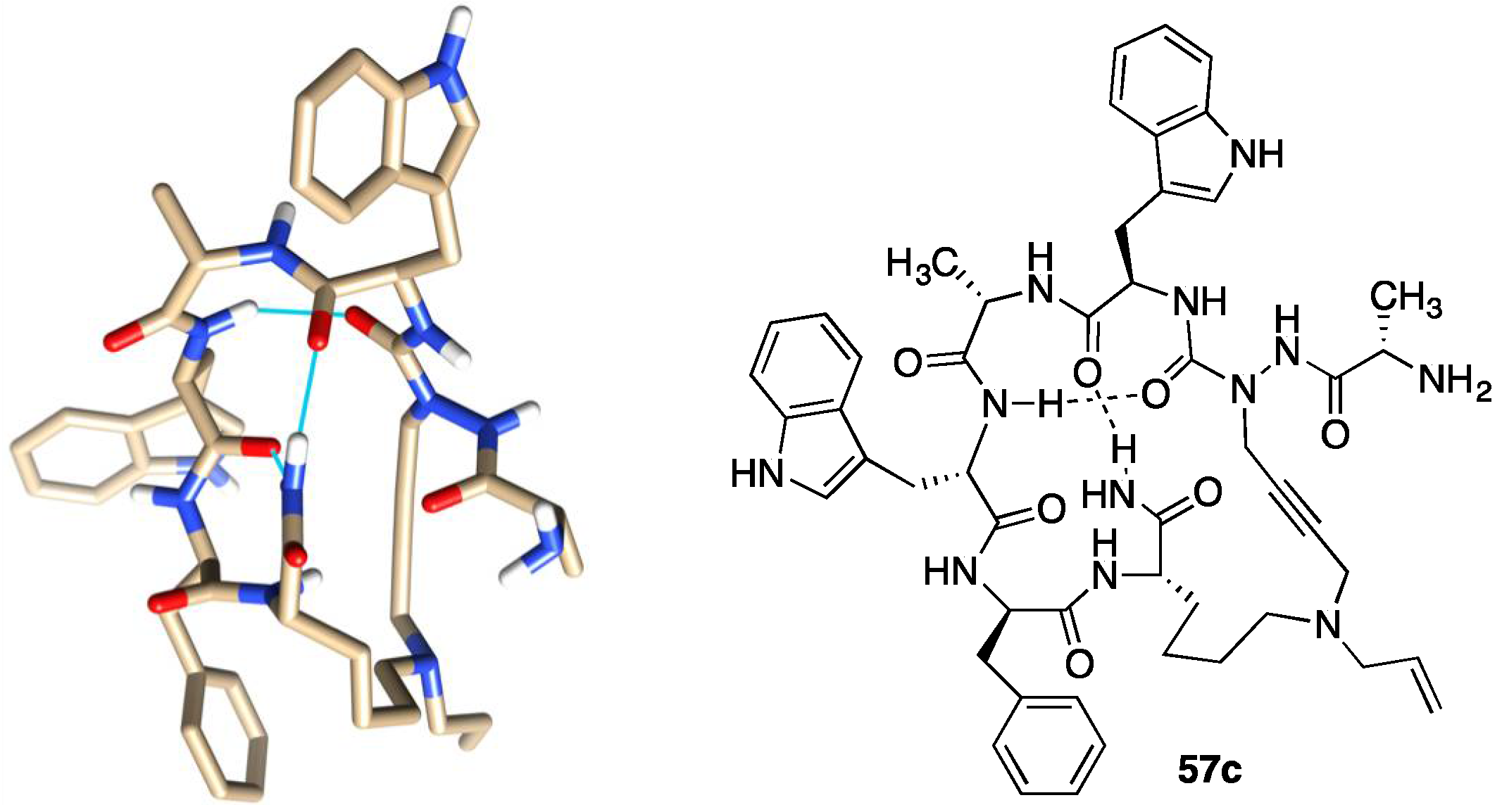 Biomedicines 08 00241 g013