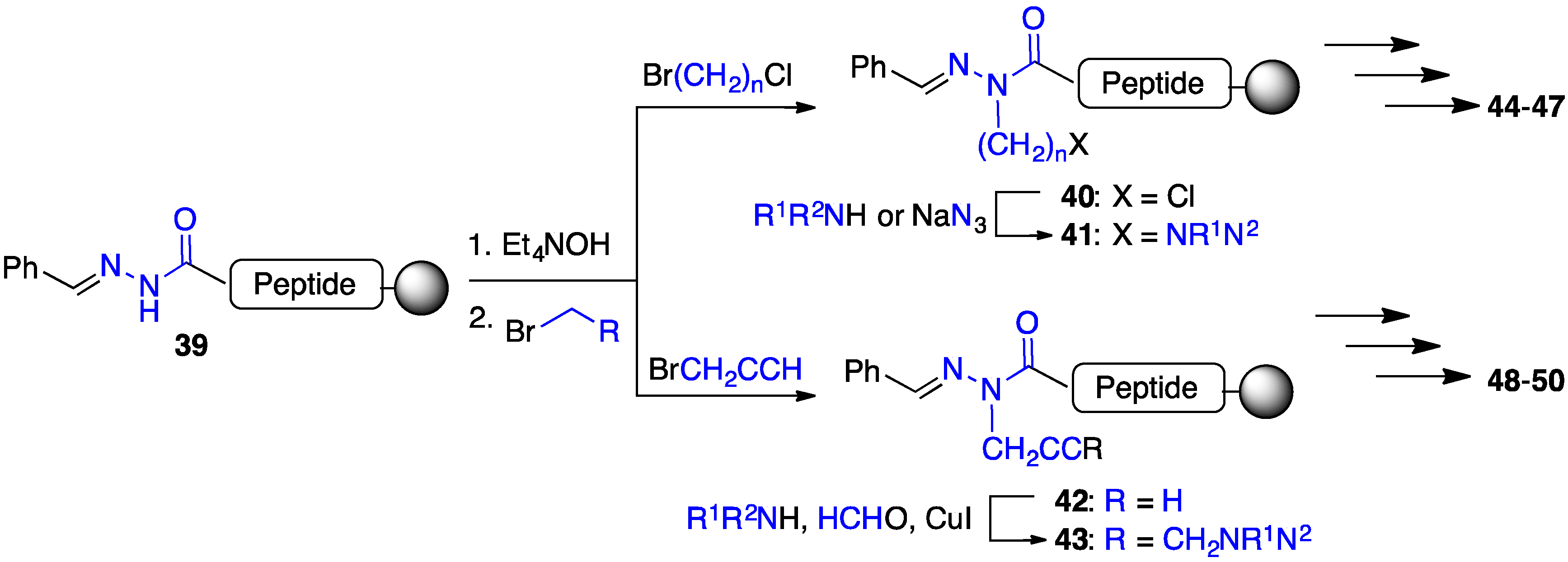 Biomedicines 08 00241 sch003