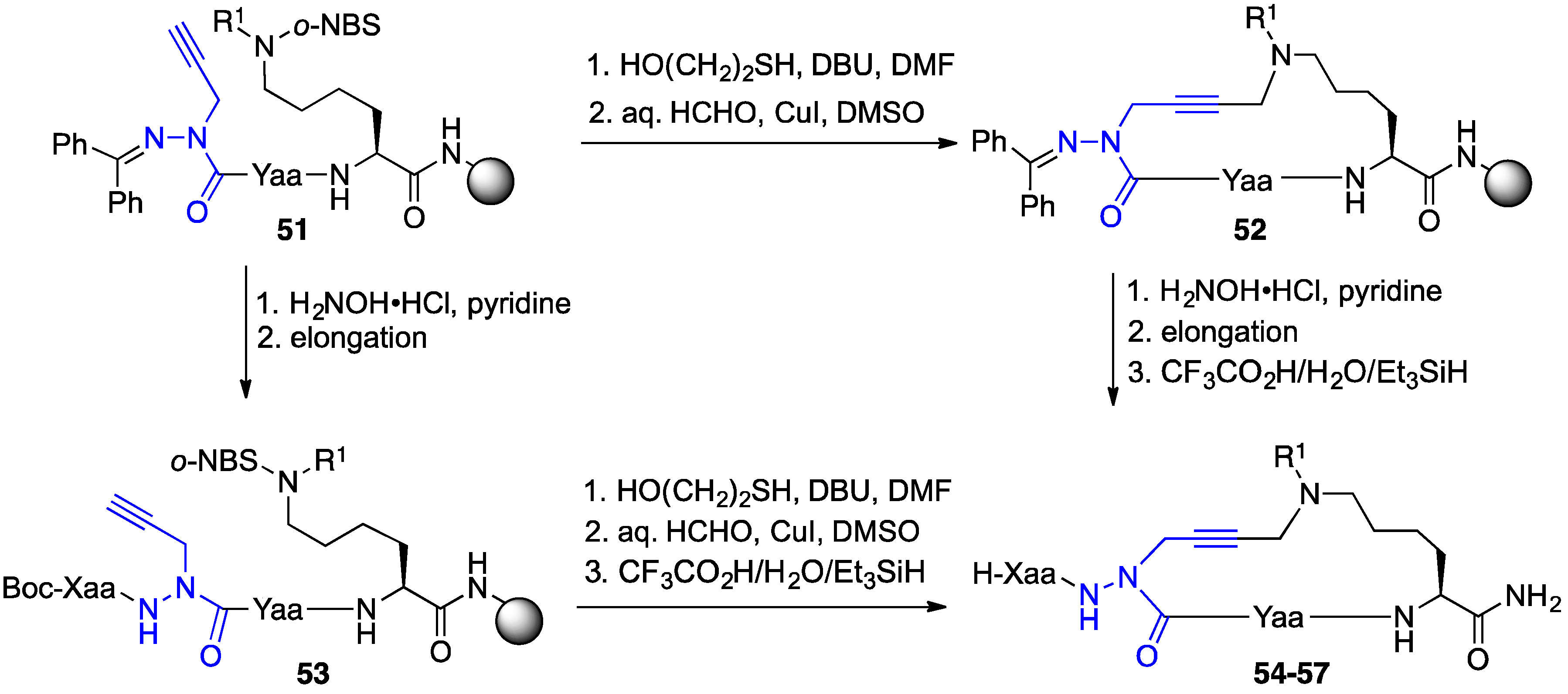 Biomedicines Free Full Text Synthesis And Biomedical Potential Of Azapeptide Modulators Of The Cluster Of Differentiation 36 Receptor Cd36 Html