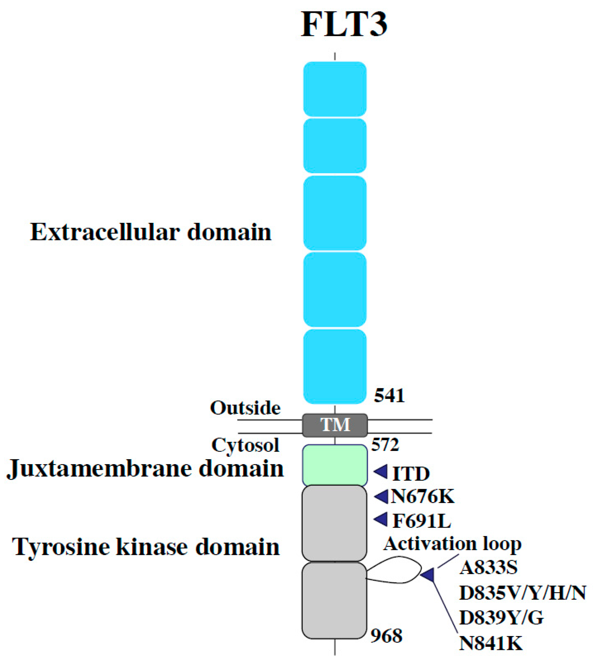 Biomedicines 08 00245 g002