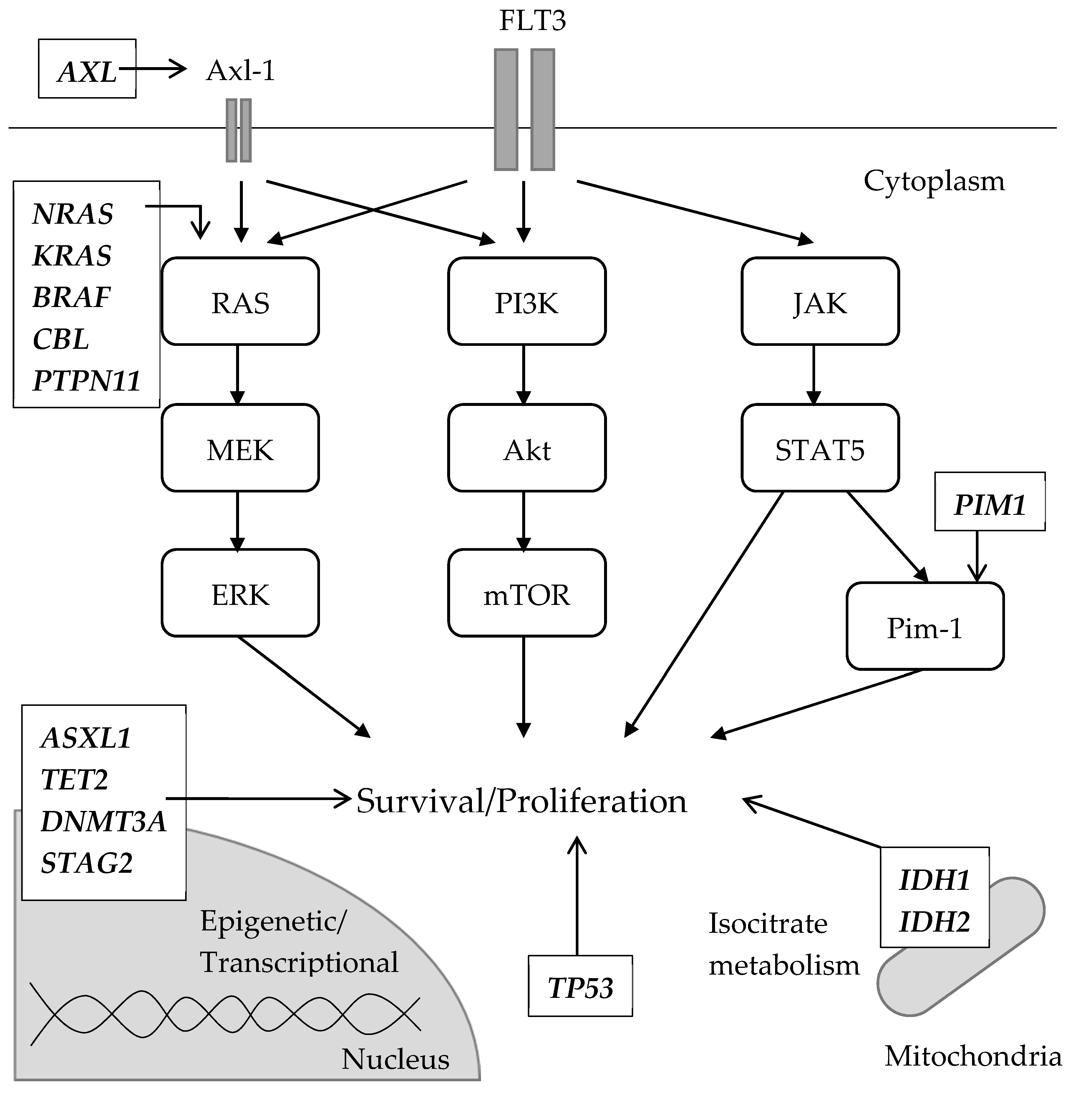Biomedicines 08 00245 g003