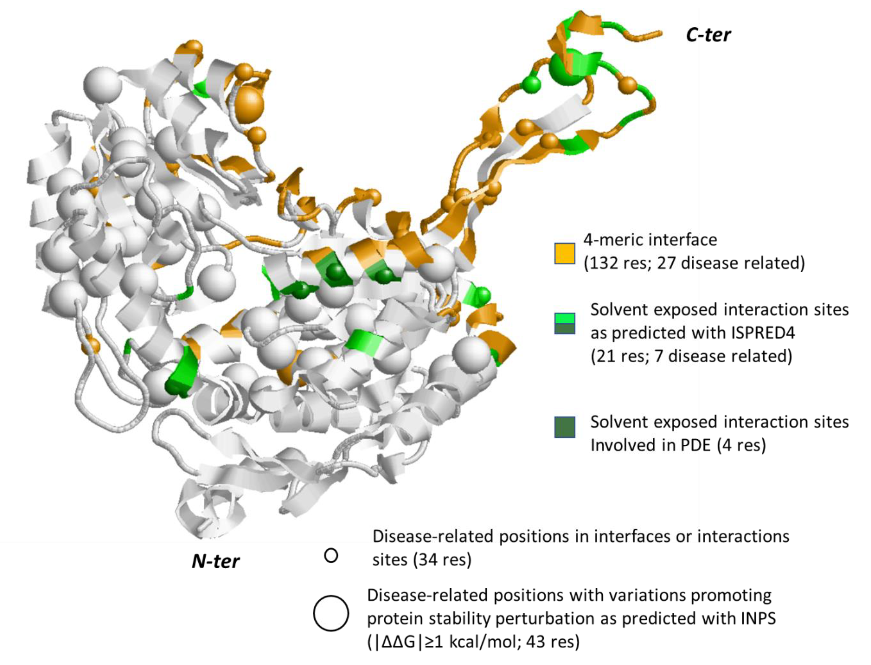 Biomedicines 08 00250 g005