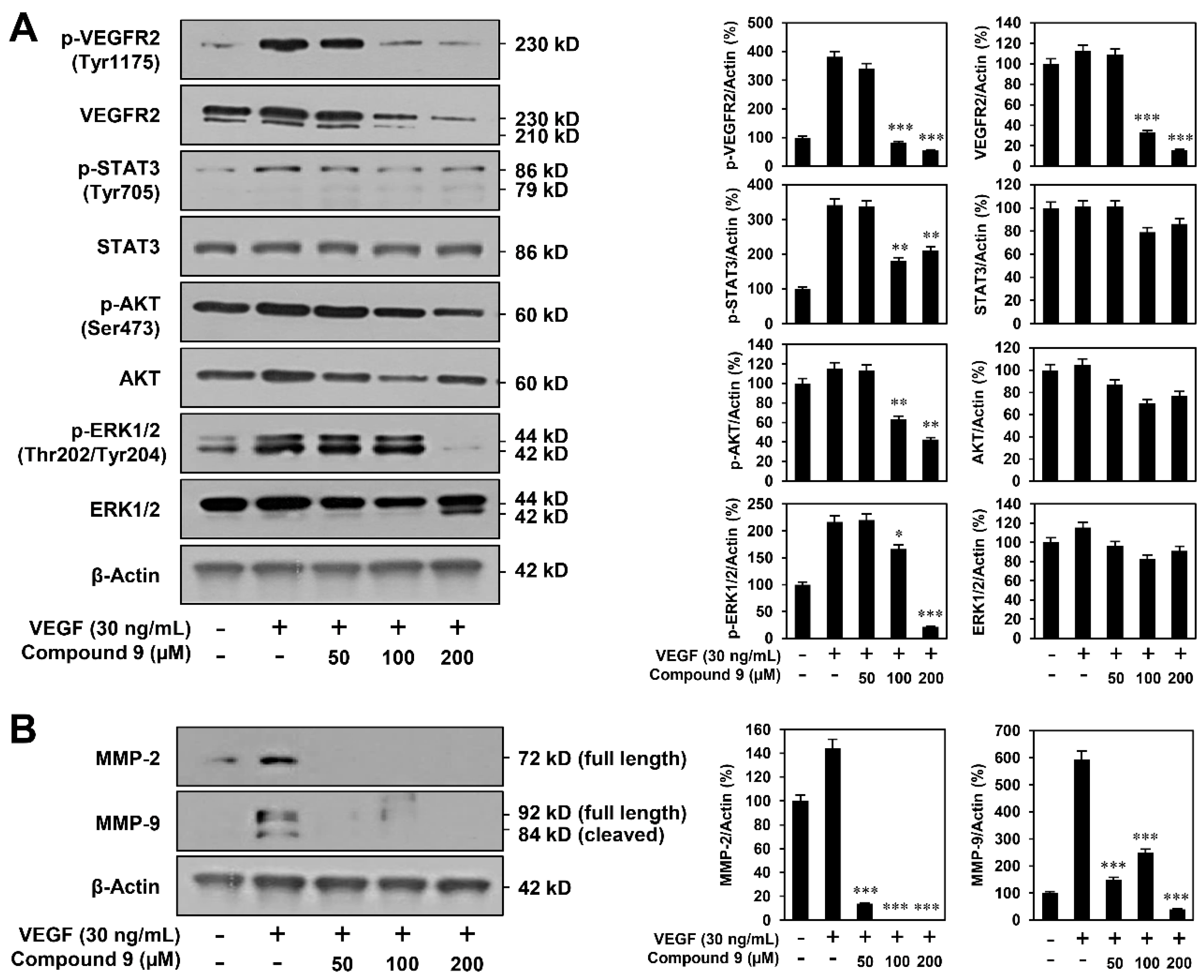 Biomedicines 08 00252 g004