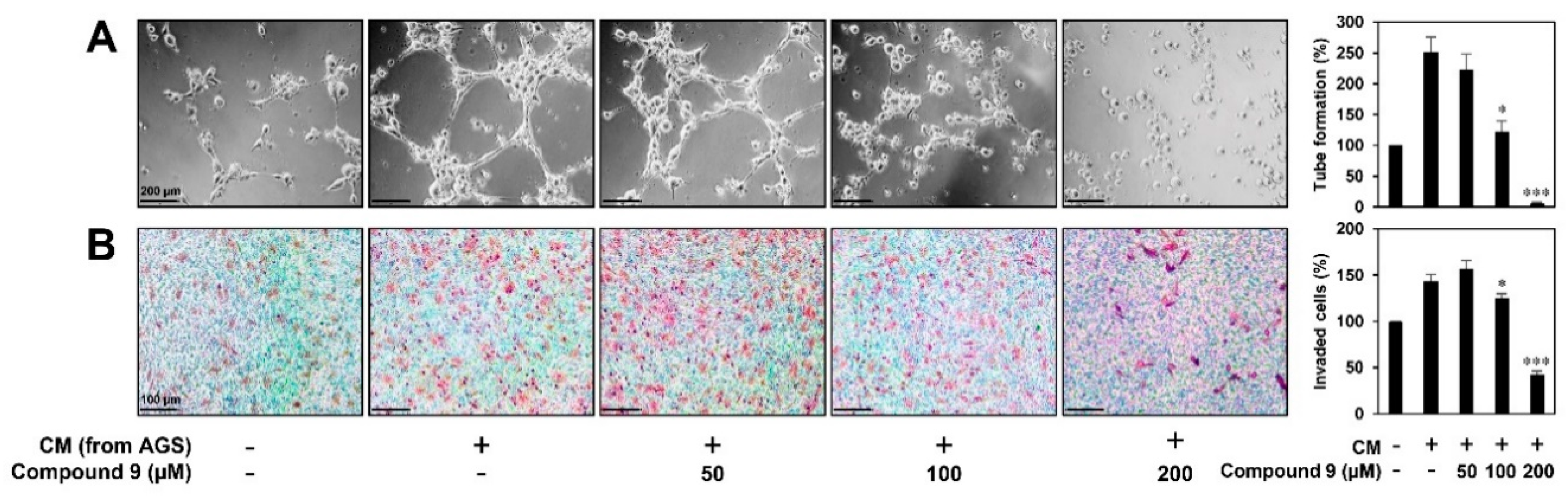 Biomedicines 08 00252 g005