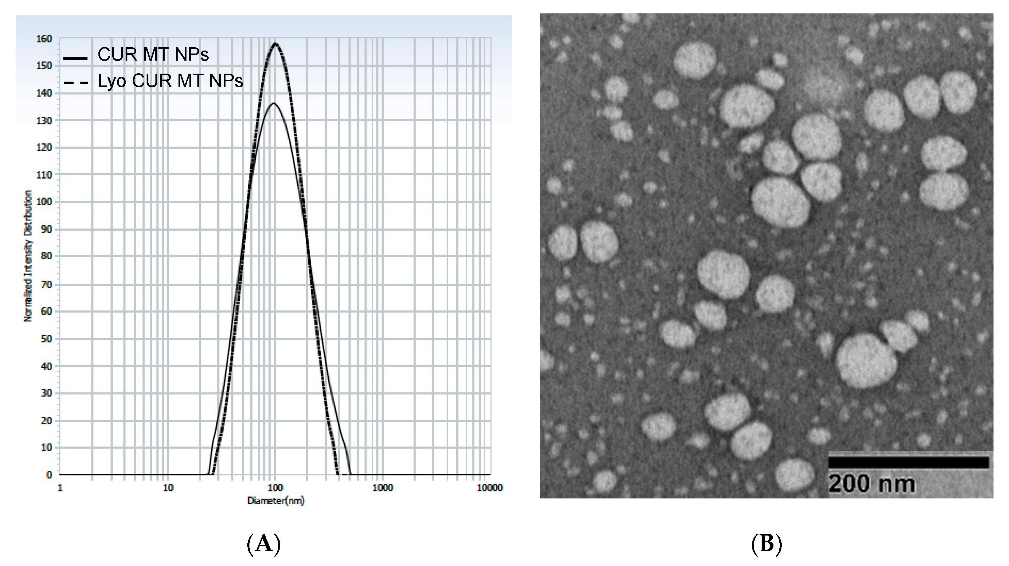 Biomedicines 08 00253 g001 Biomedicines 08 00253 g001