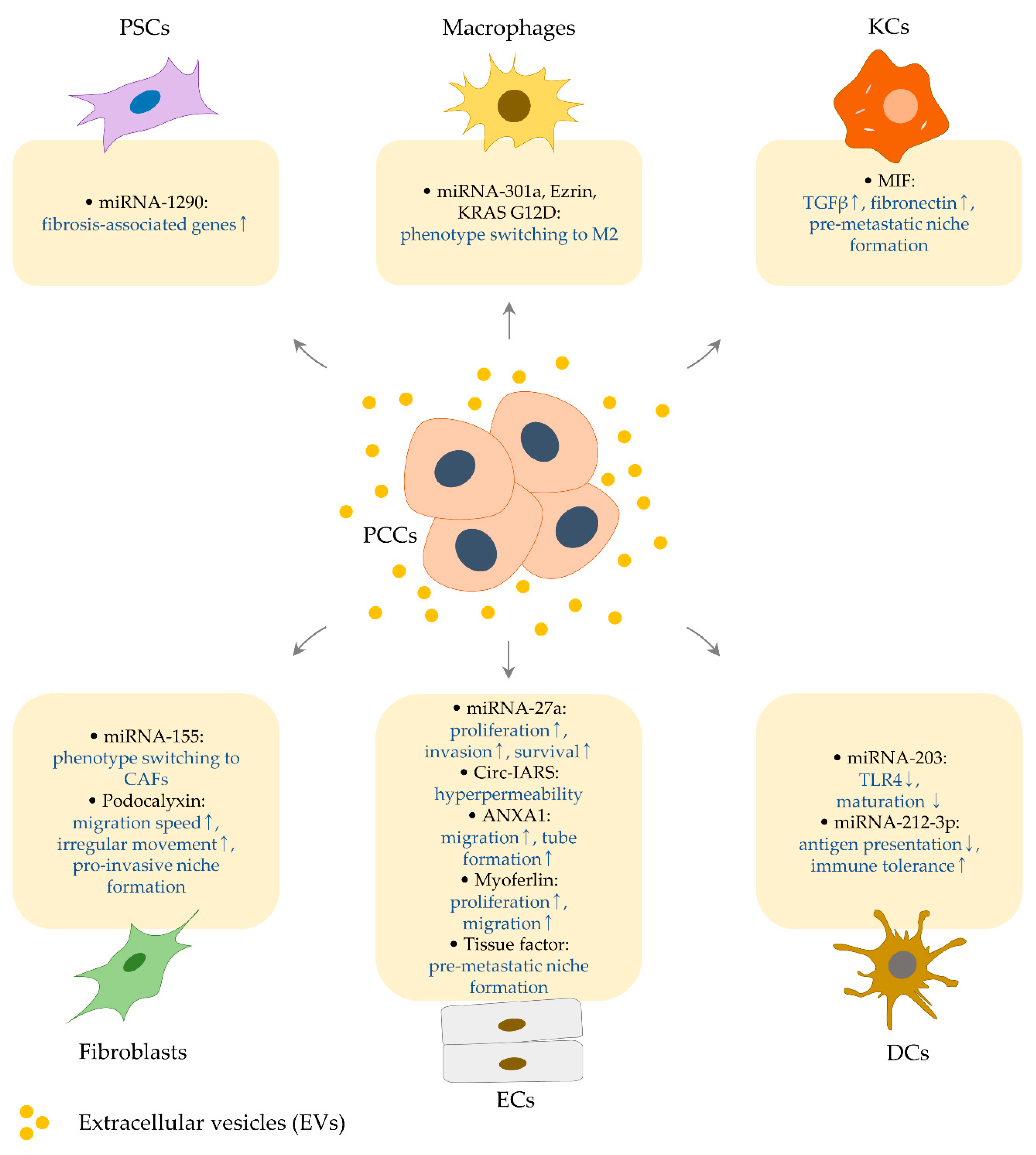 Biomedicines 08 00267 g002 Biomedicines 08 00267 g002