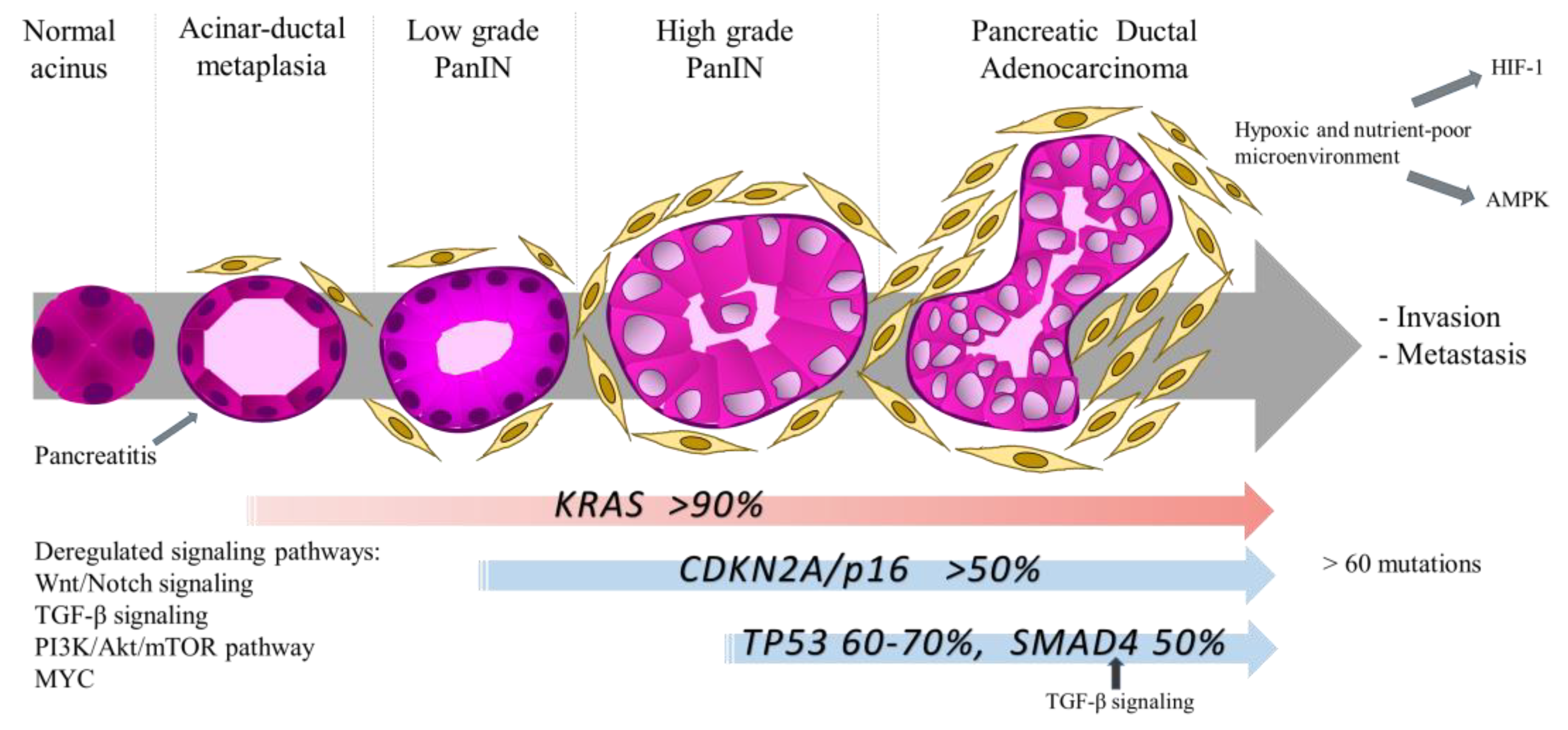 Biomedicines 08 00270 g002