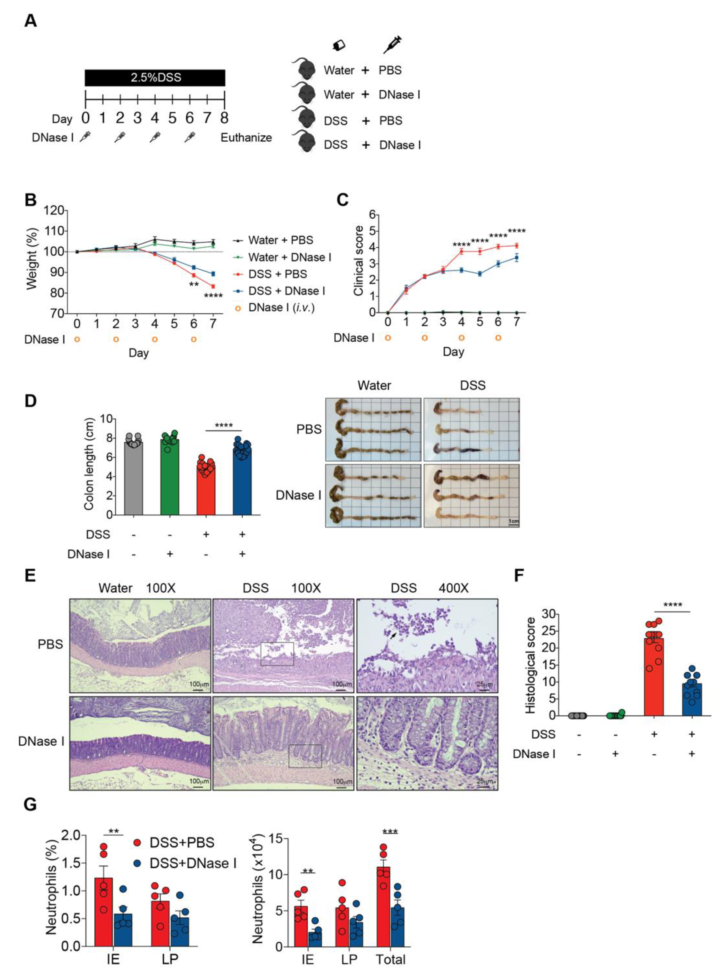 Biomedicines 08 00275 g002