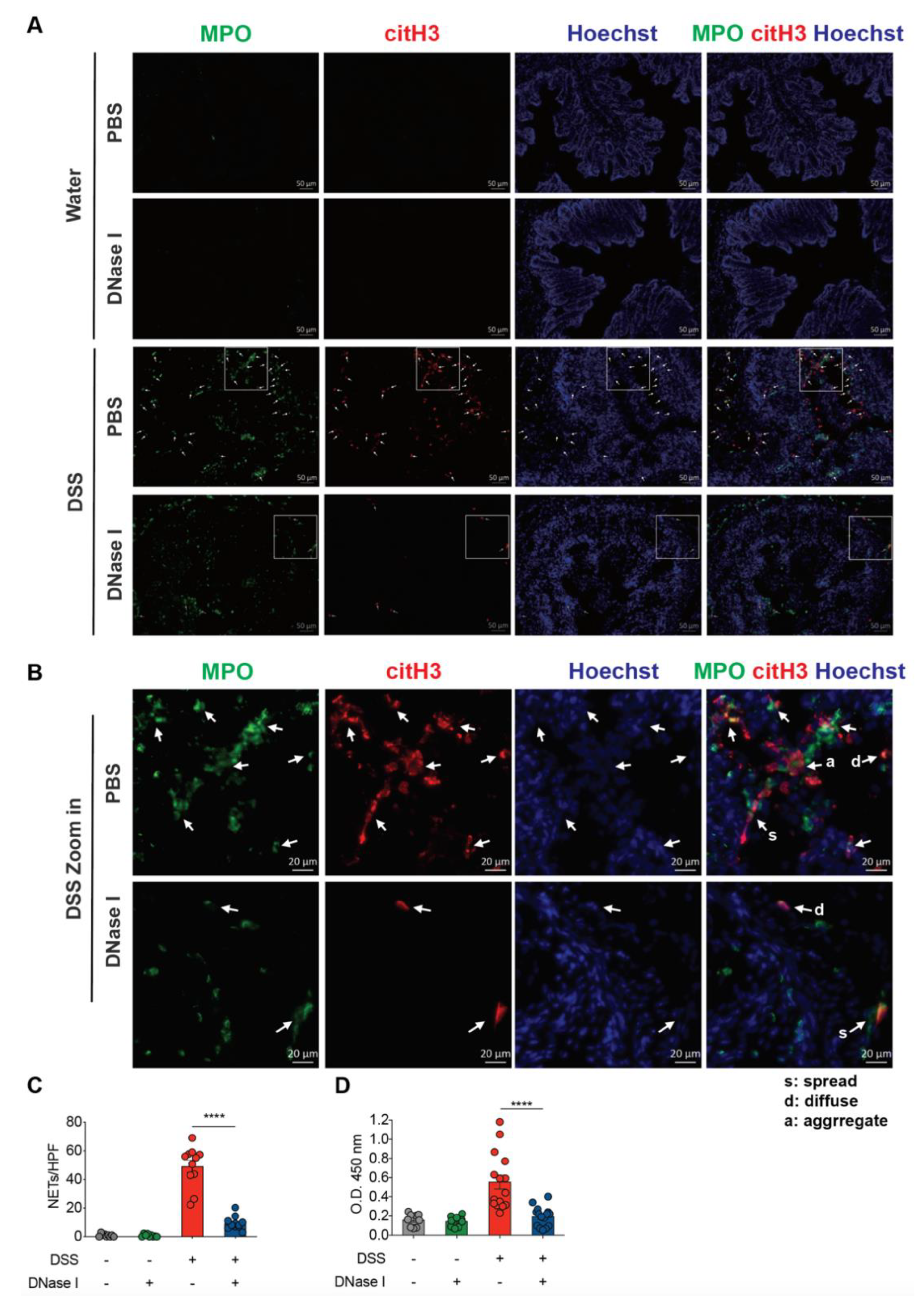 Biomedicines 08 00275 g003